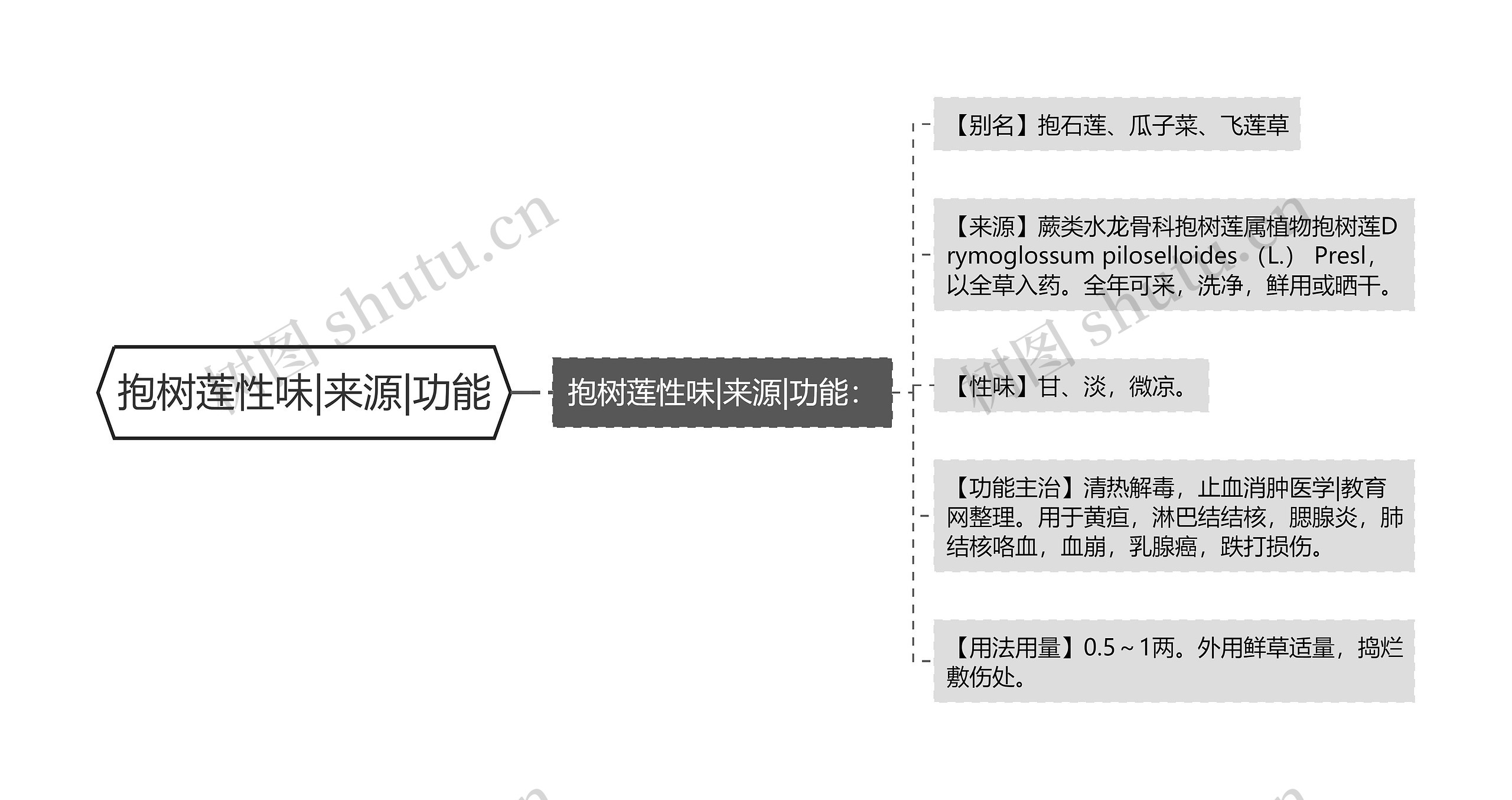 抱树莲性味|来源|功能 抱树莲性味|来源|功能