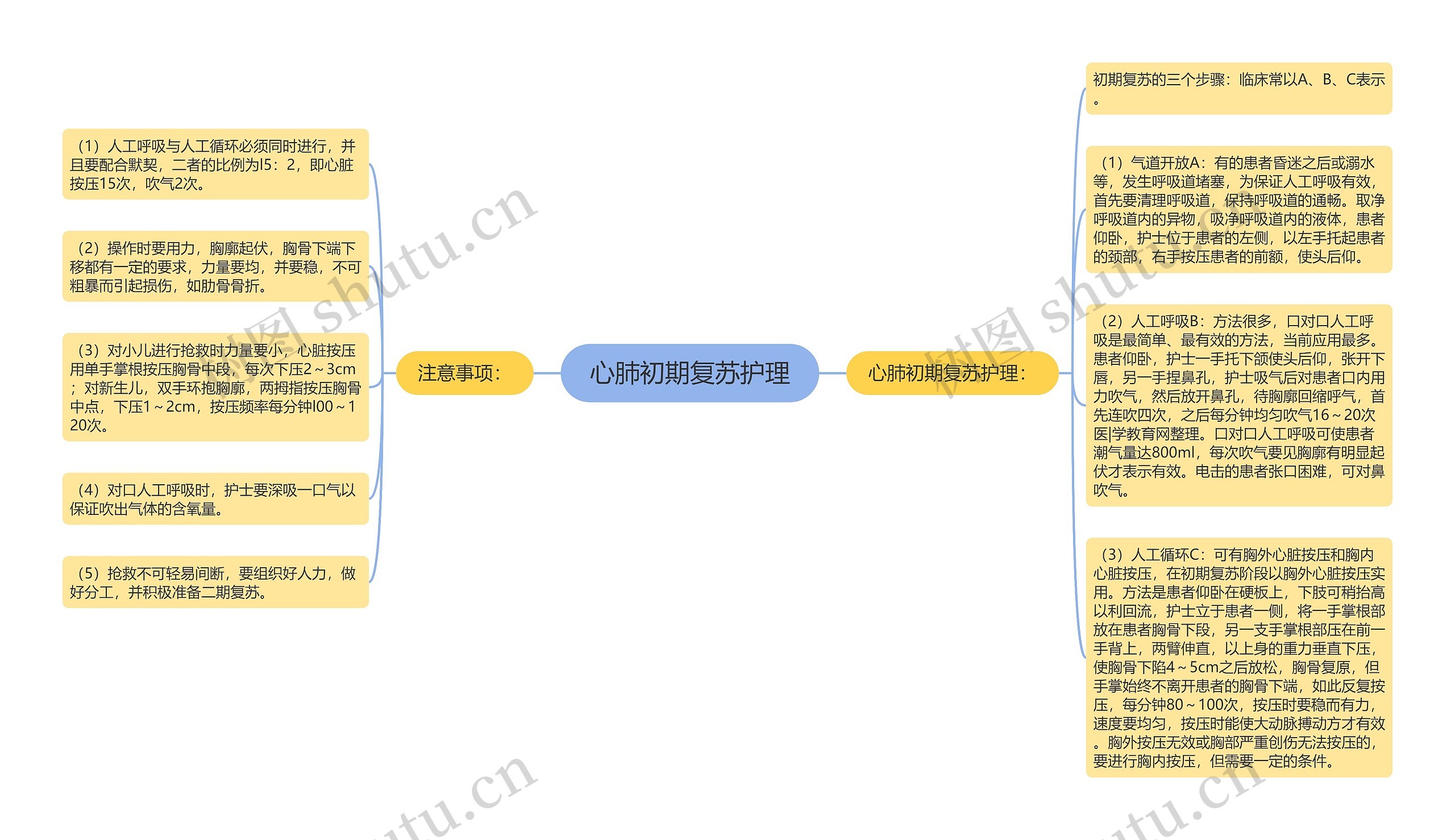 心肺初期复苏护理 心肺初期复苏护理
