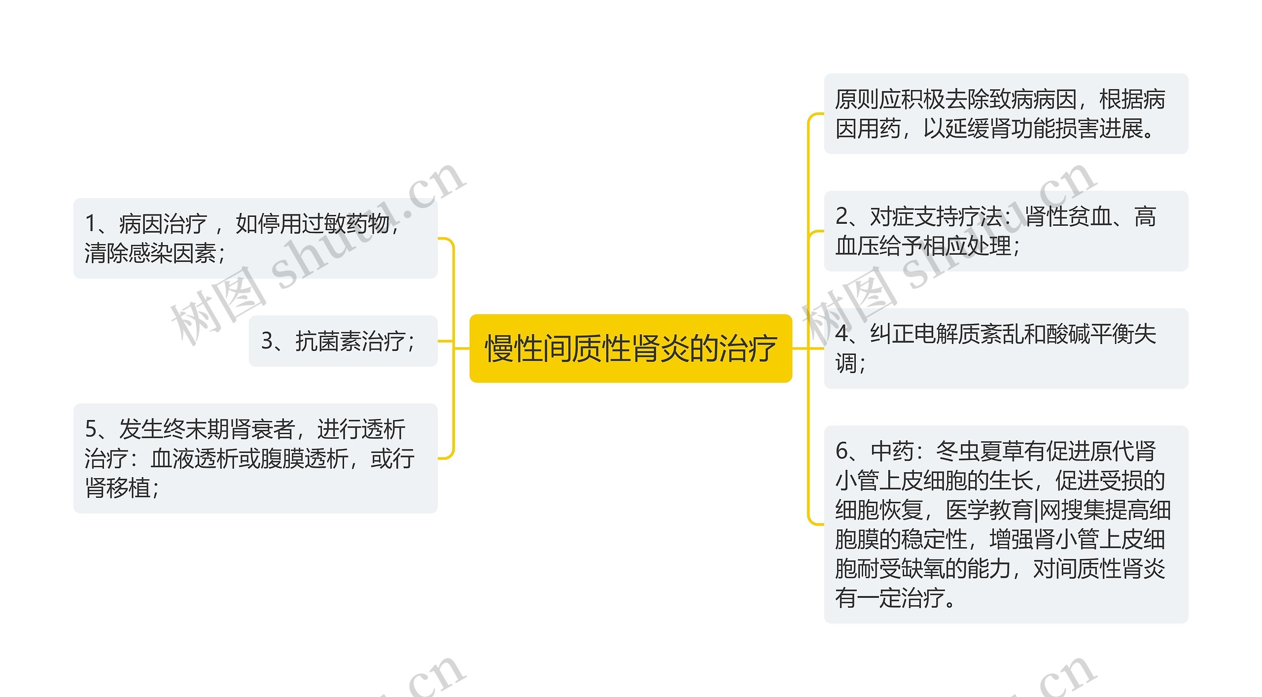 慢性间质性肾炎的治疗