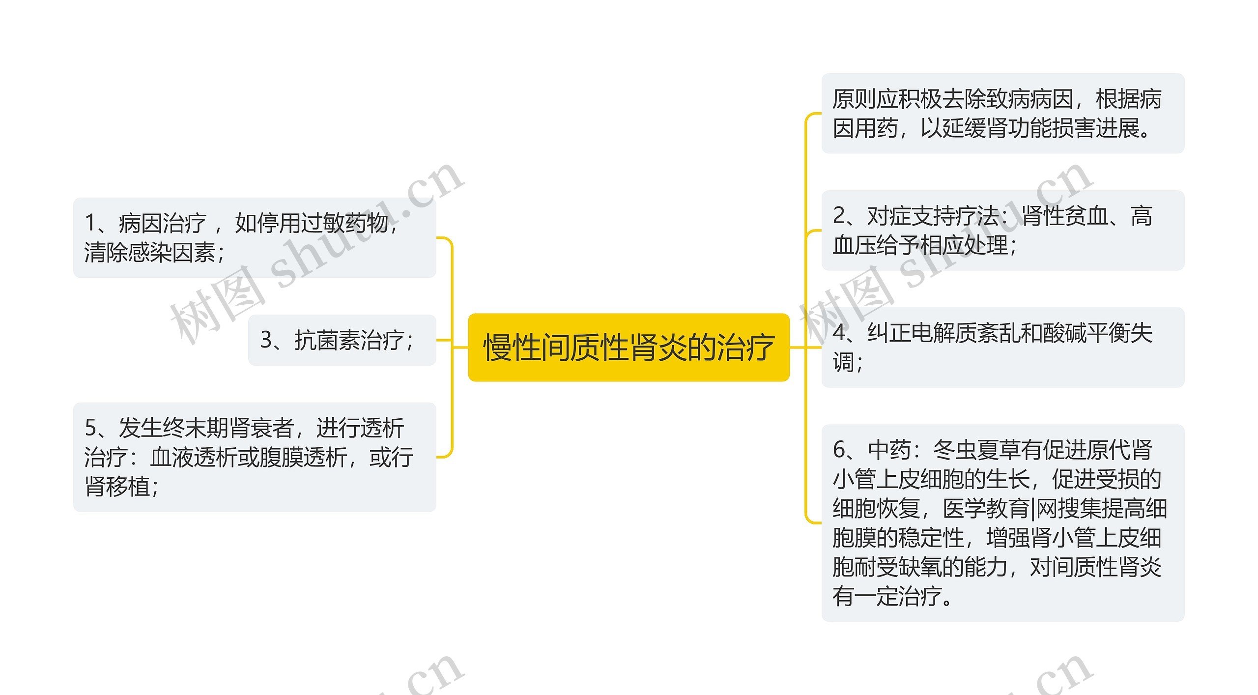 慢性间质性肾炎的治疗思维导图