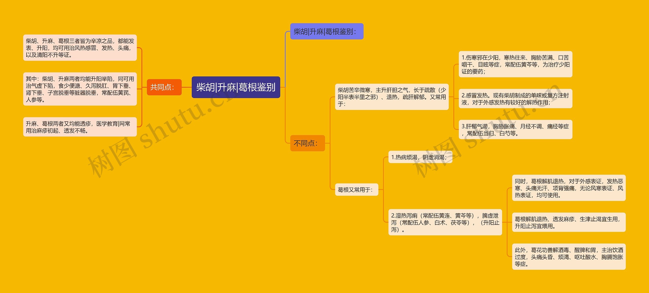 柴胡|升麻|葛根鉴别思维导图