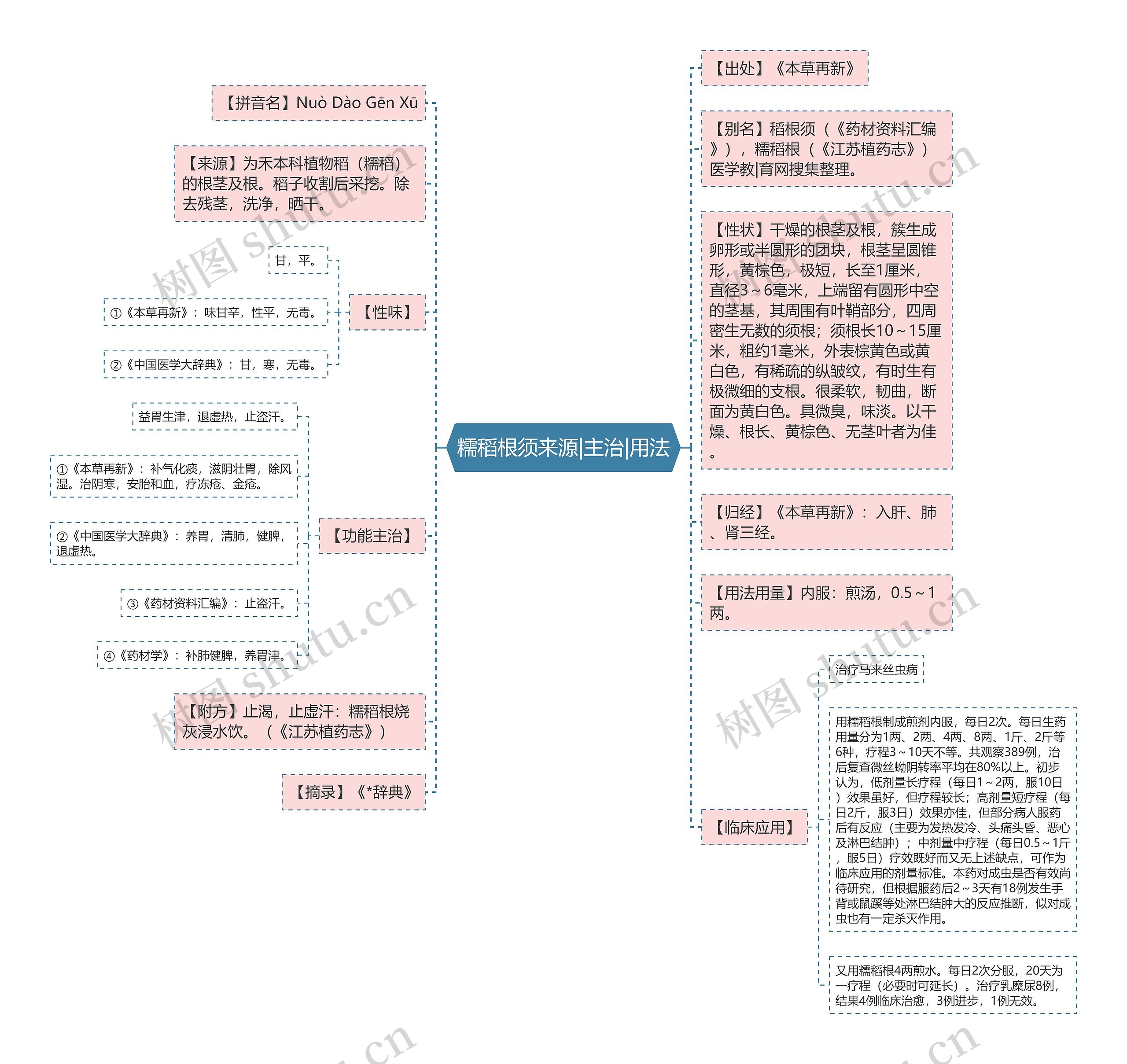 糯稻根须来源|主治|用法思维导图