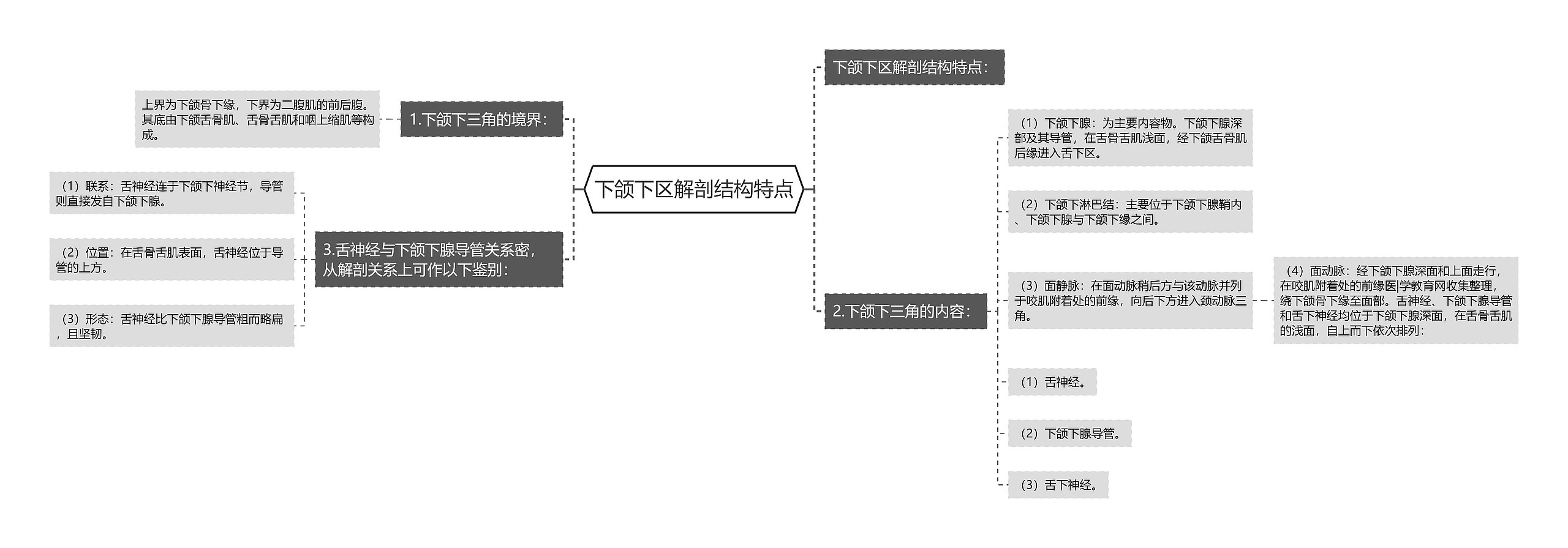 下颌下区解剖结构特点