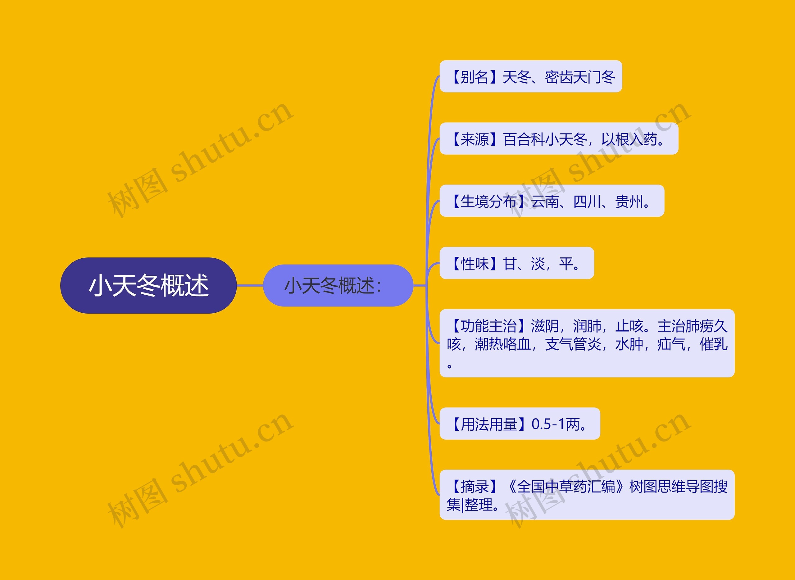 小天冬概述思维导图