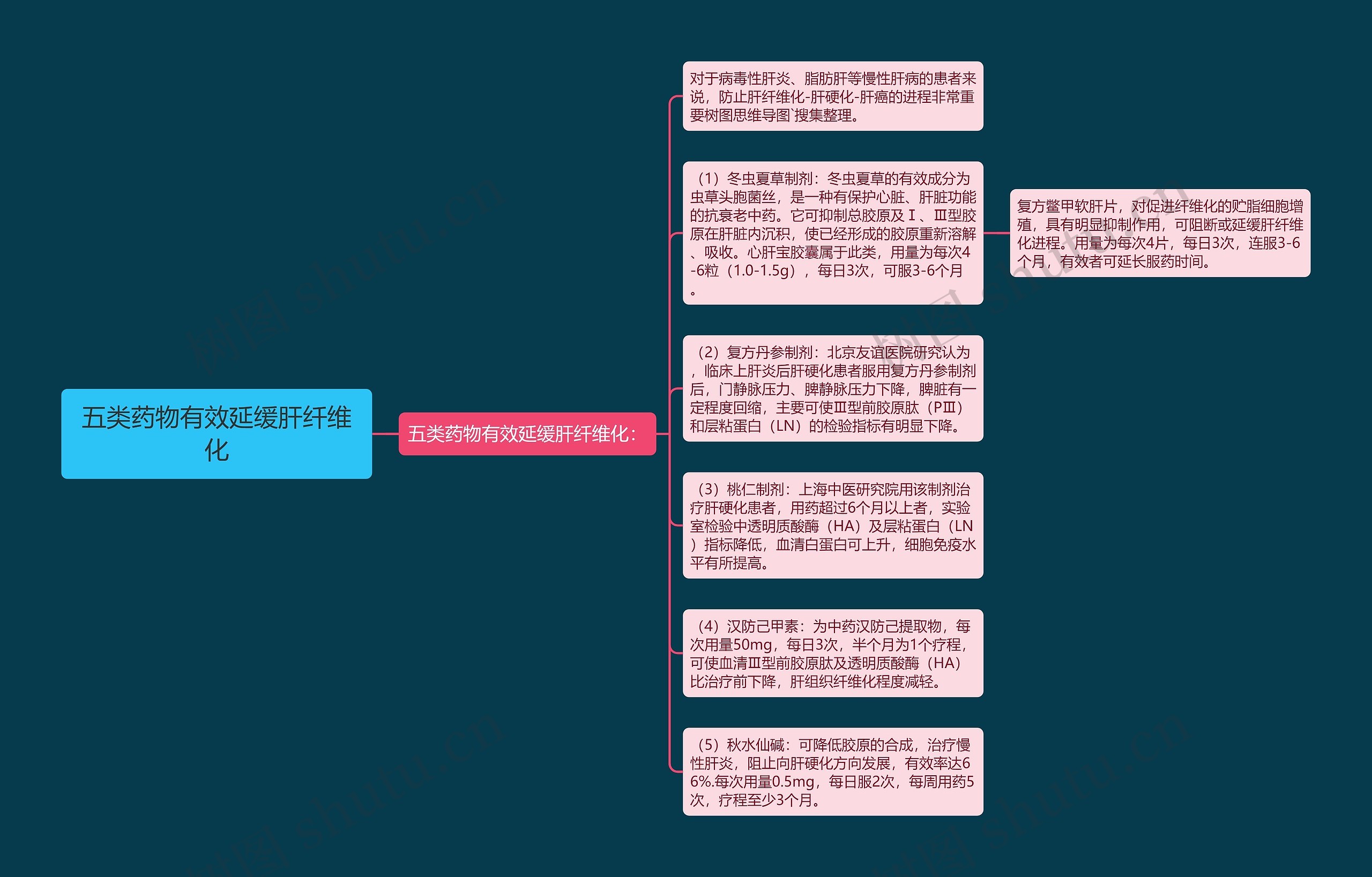 五类药物有效延缓肝纤维化思维导图