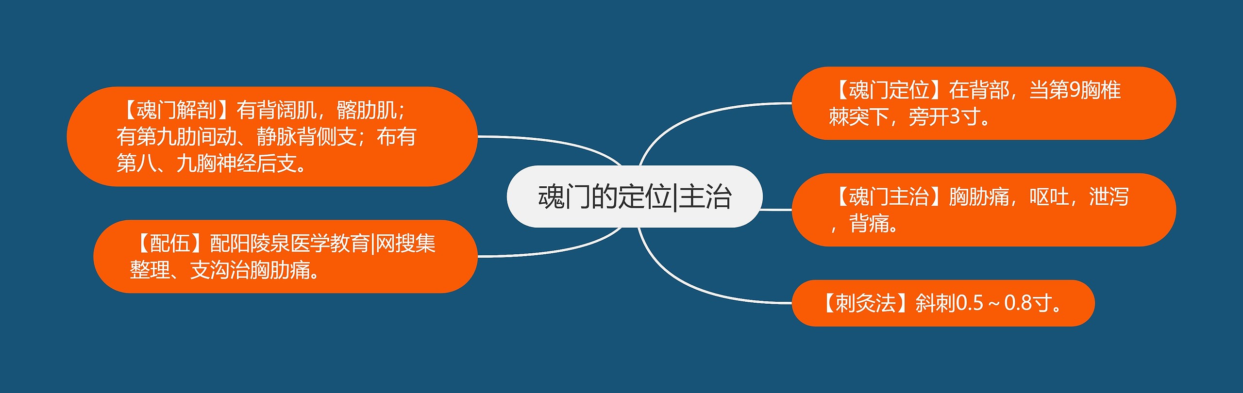 魂门的定位|主治 魂门的定位|主治