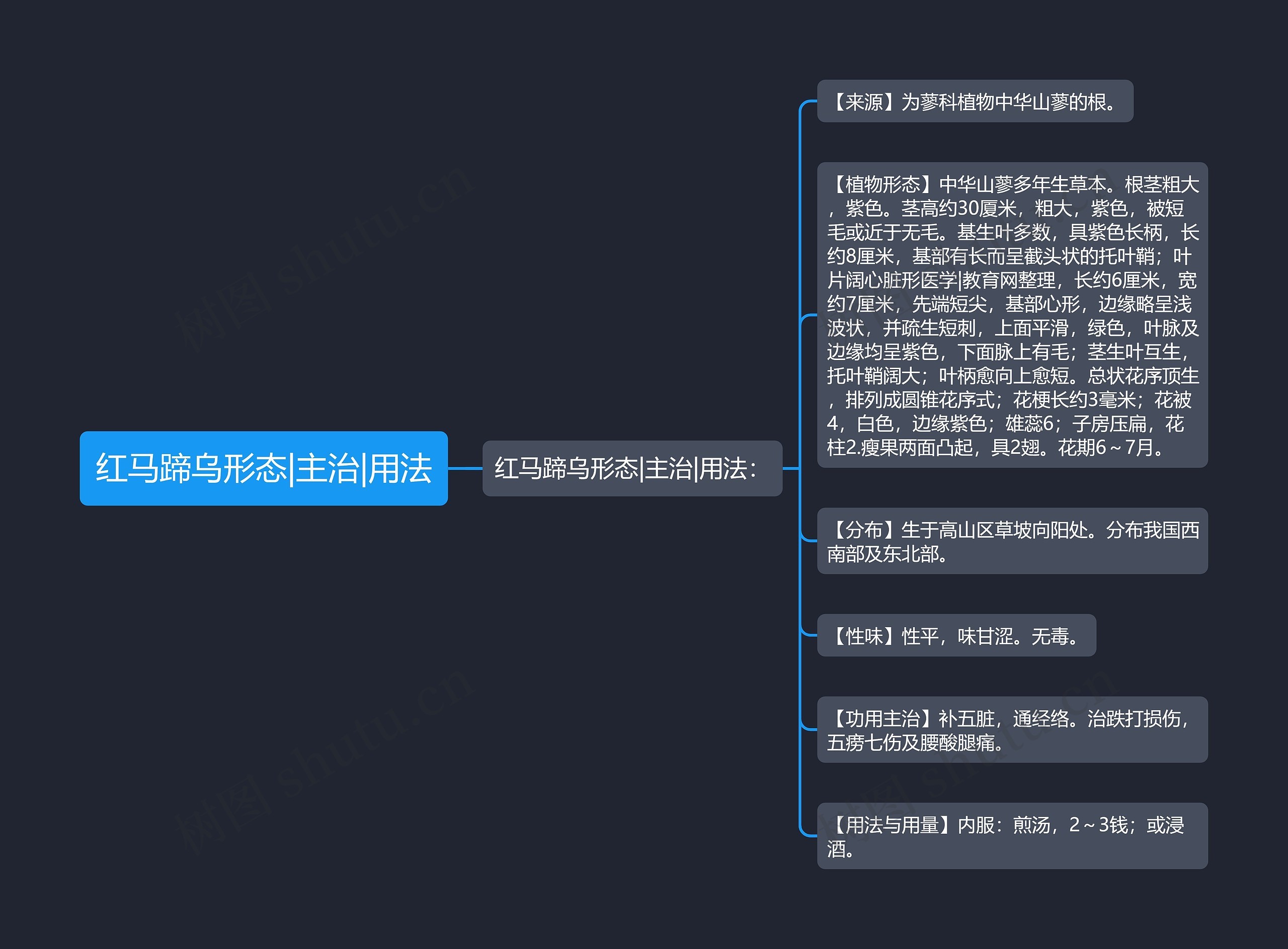 红马蹄乌形态|主治|用法思维导图