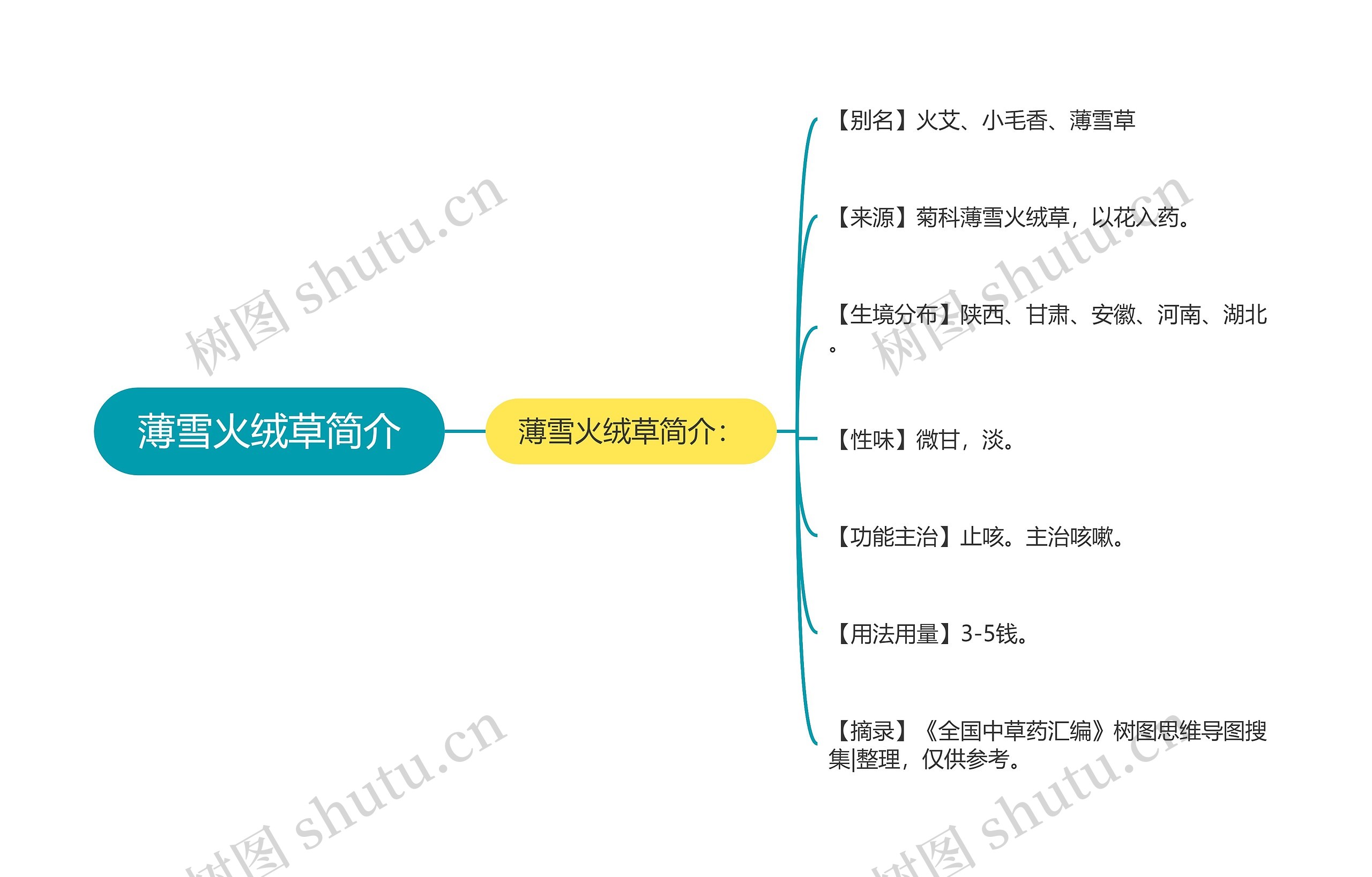 薄雪火绒草简介思维导图