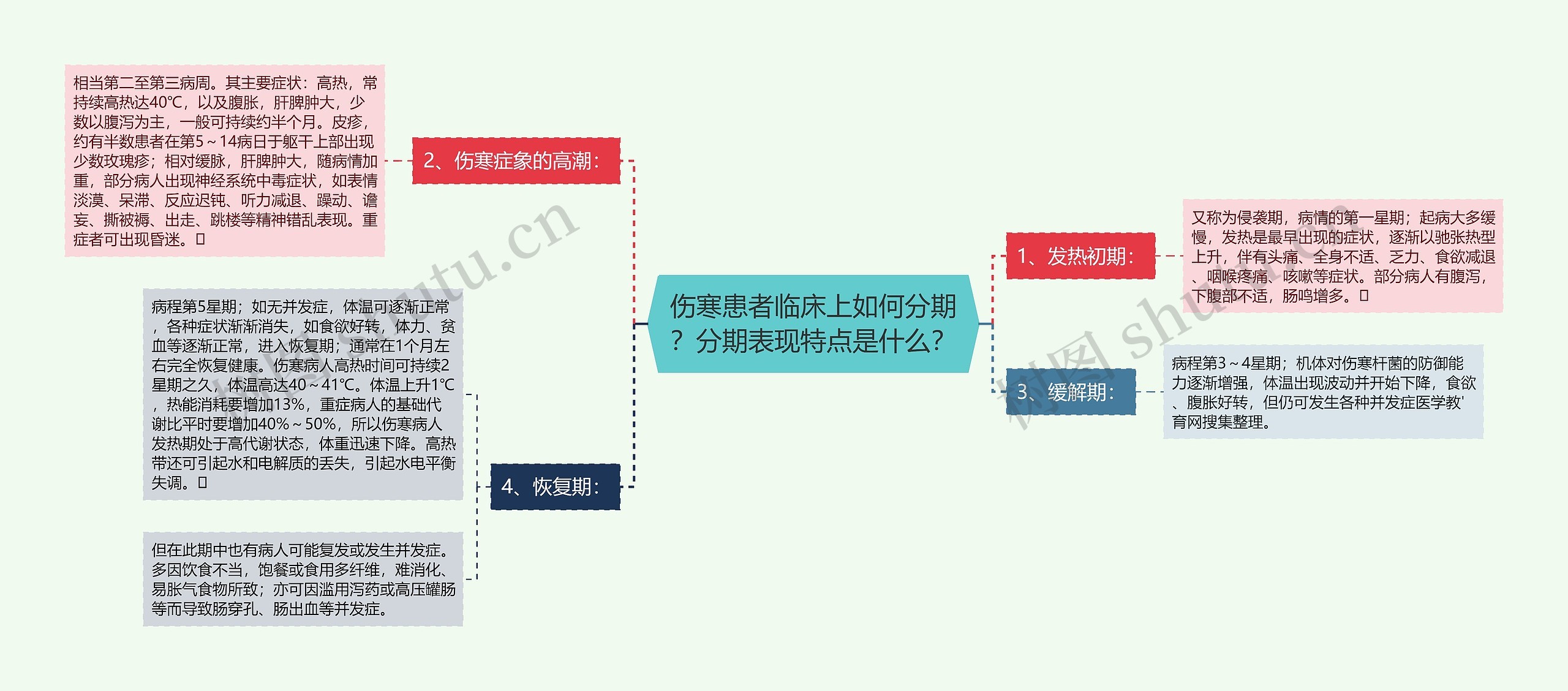 伤寒患者临床上如何分期？分期表现特点是什么？思维导图