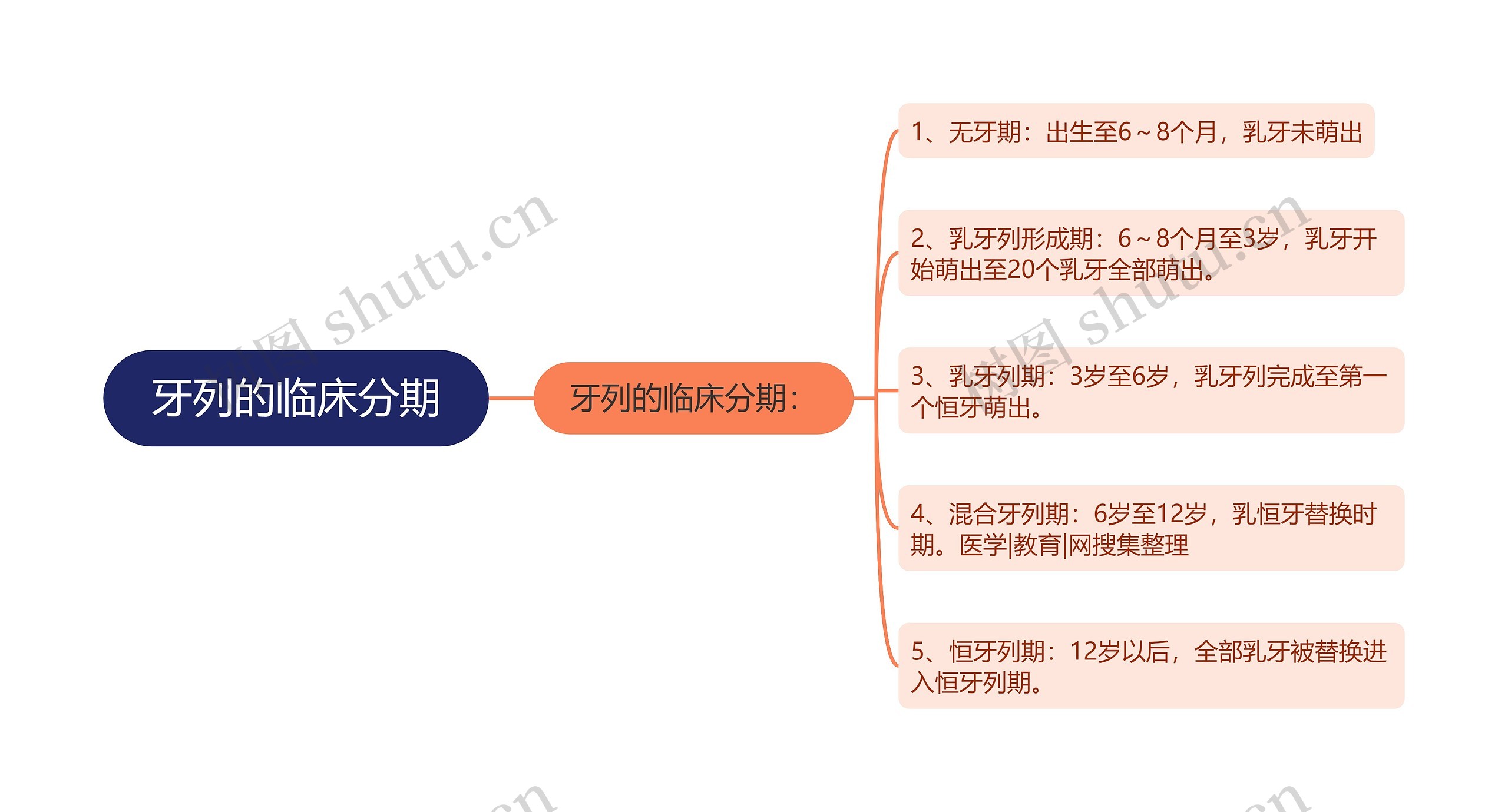 牙列的临床分期