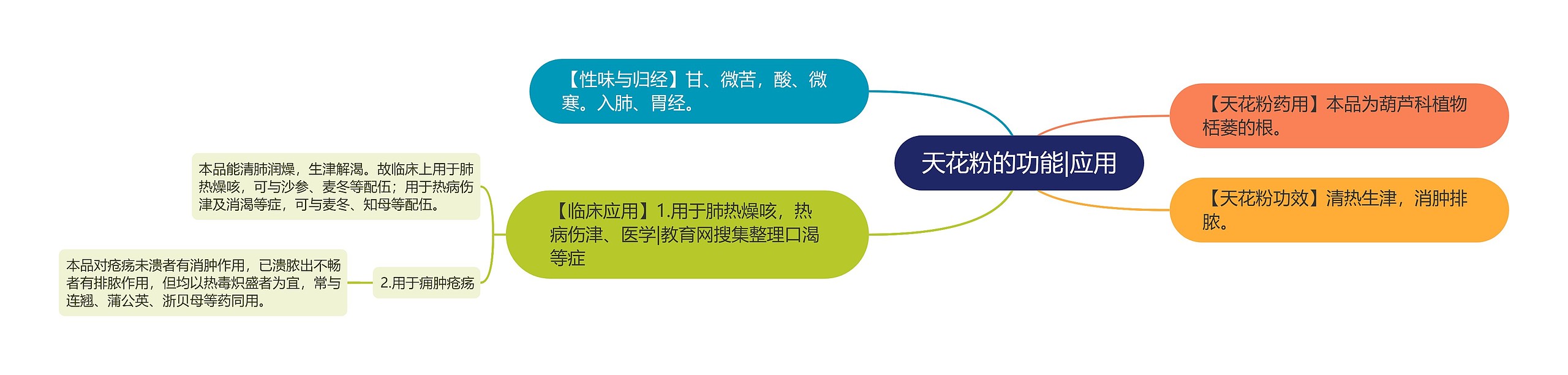 天花粉的功能|应用思维导图