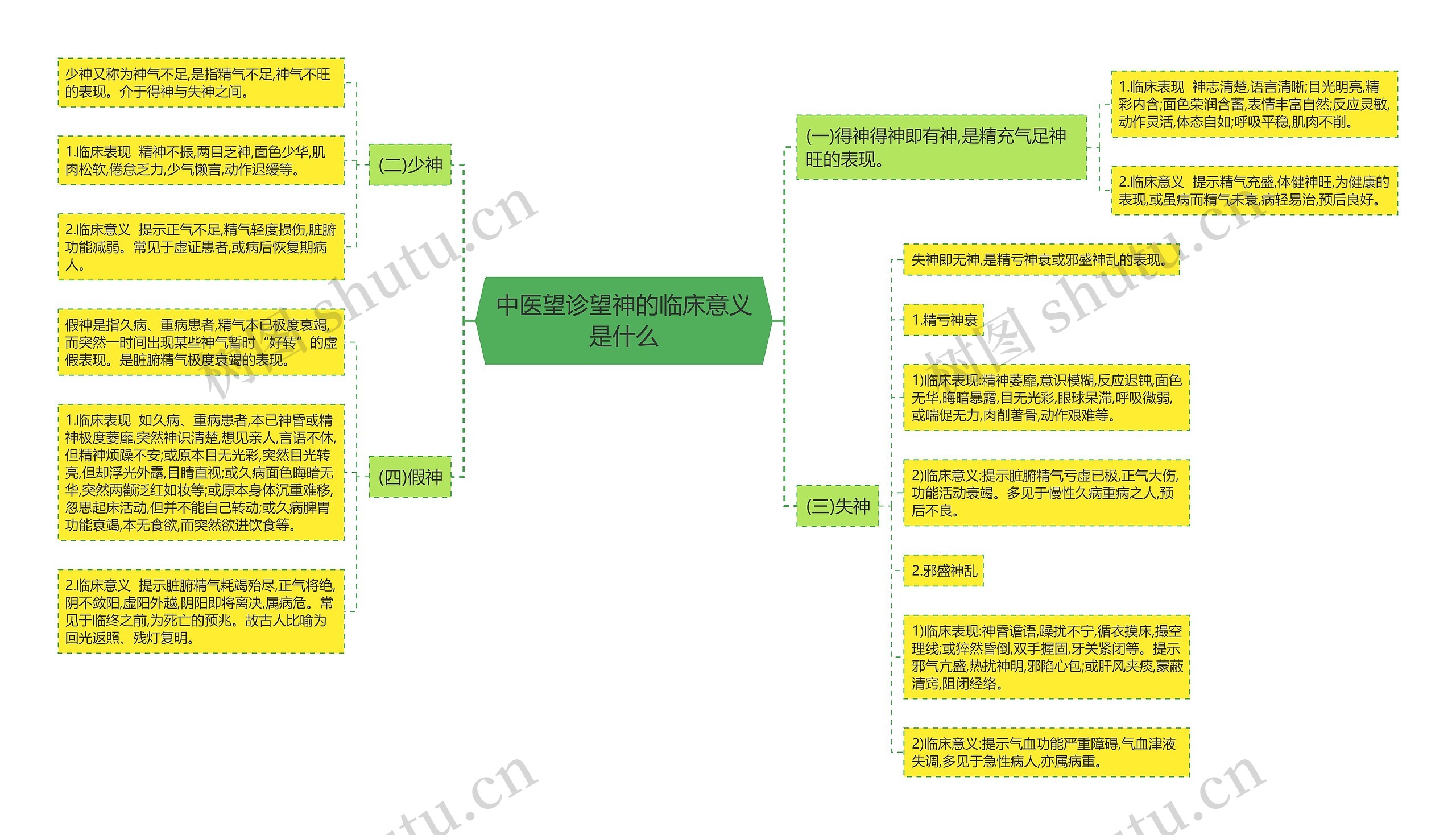 中医望诊望神的临床意义是什么思维导图