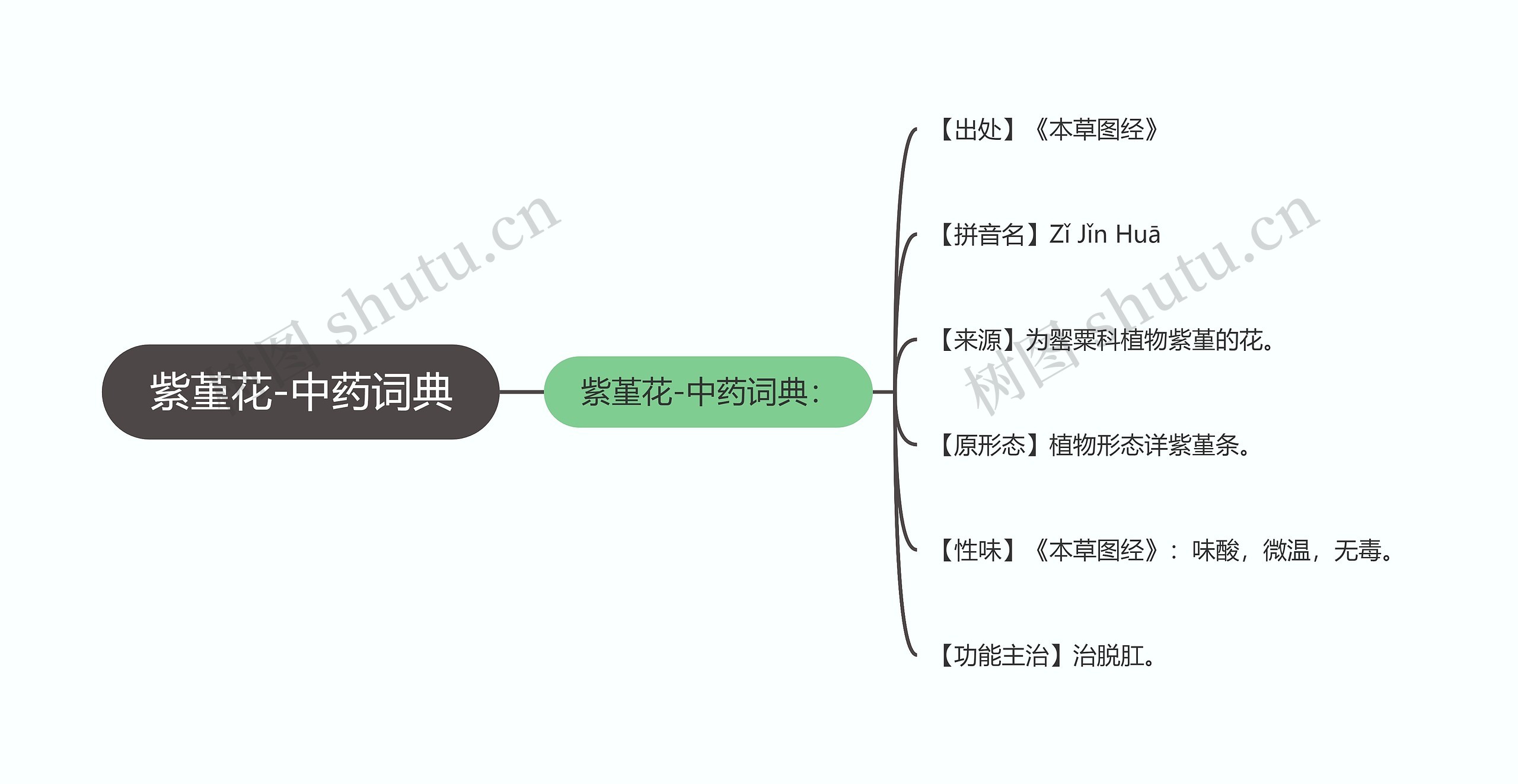 紫堇花-中药词典思维导图