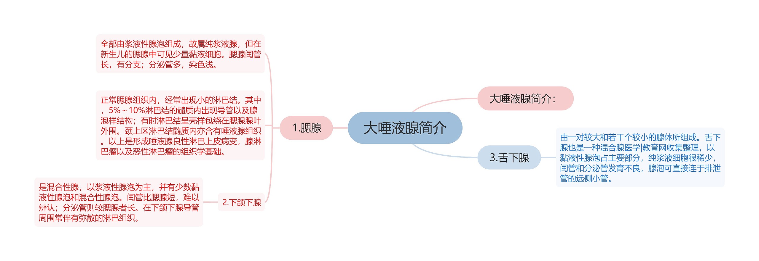 大唾液腺简介思维导图