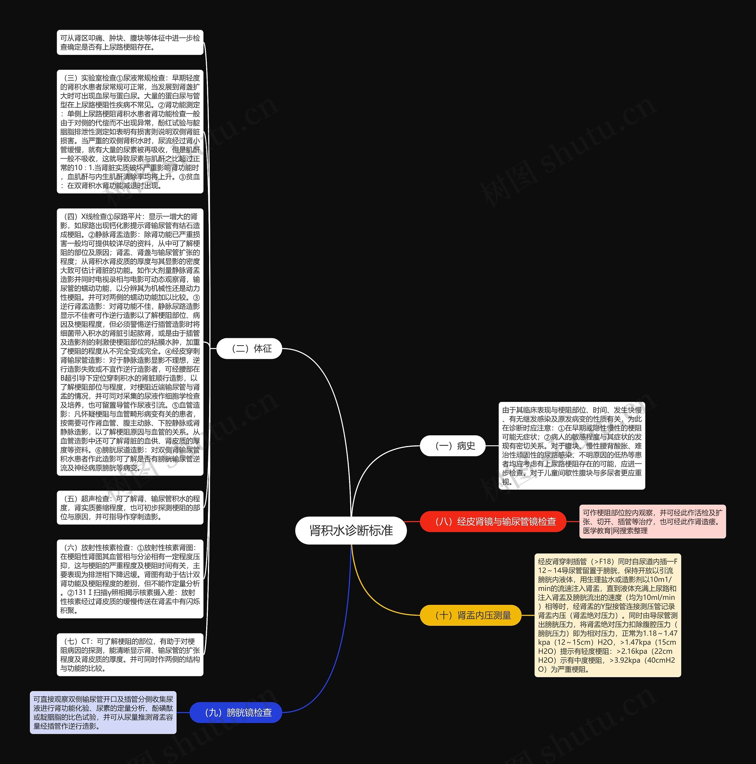肾积水诊断标准思维导图