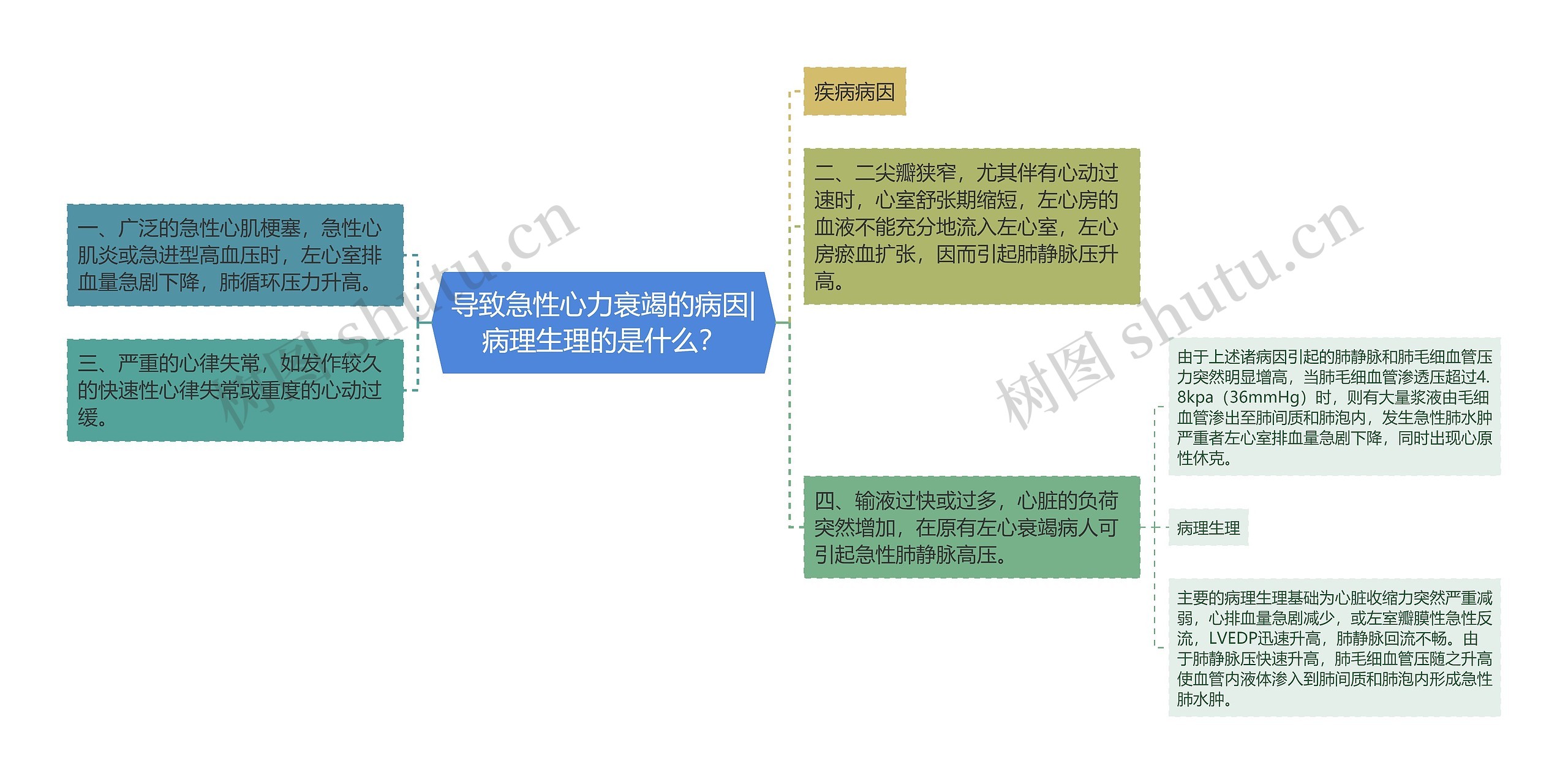 导致急性心力衰竭的病因|病理生理的是什么？思维导图