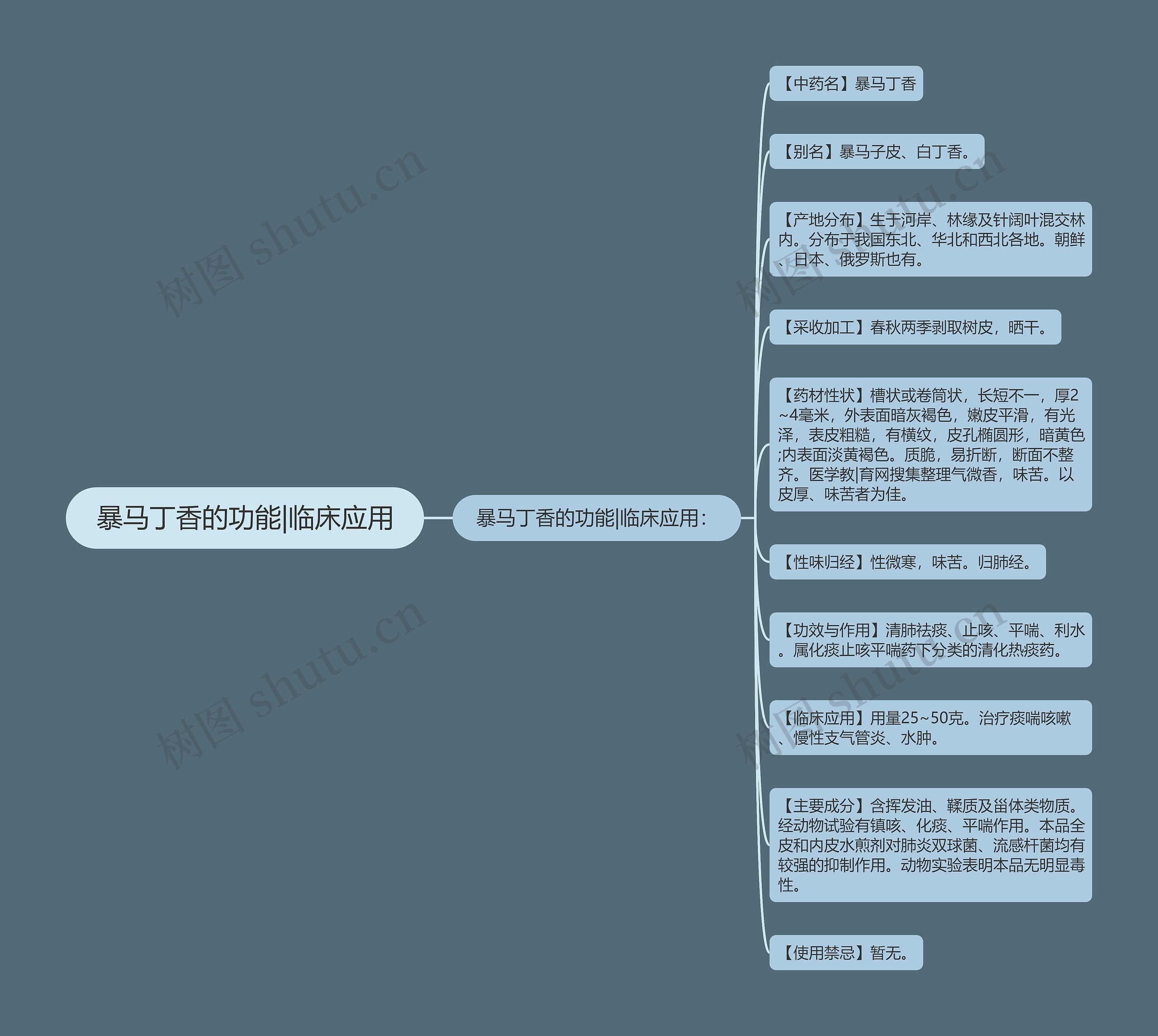 暴马丁香的功能|临床应用思维导图