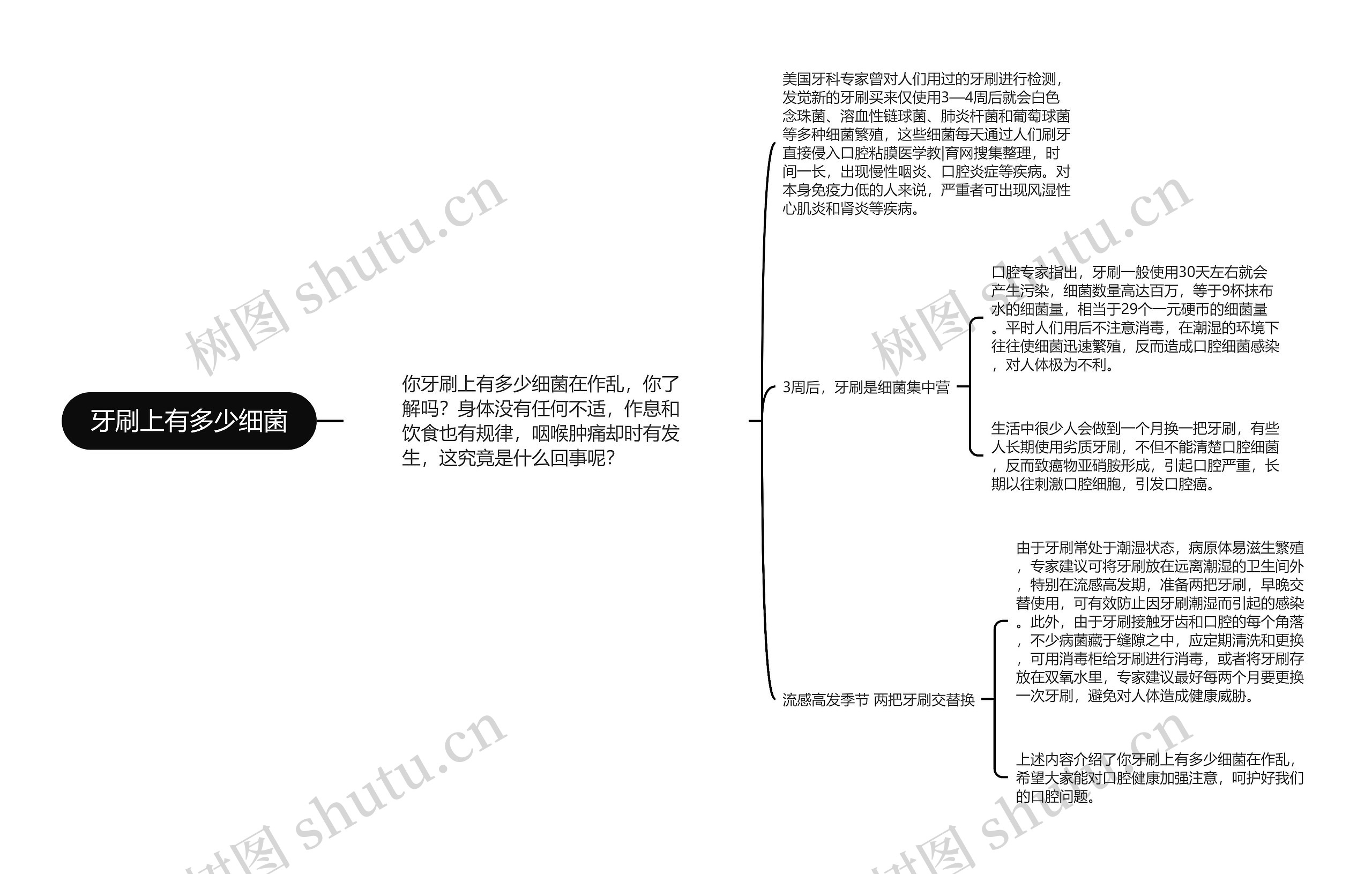 牙刷上有多少细菌