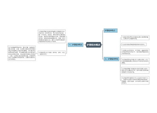 护理程序概述