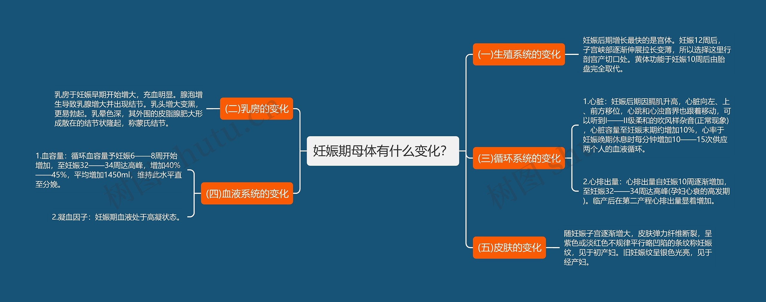 妊娠期母体有什么变化? 妊娠期母体有什么变化?