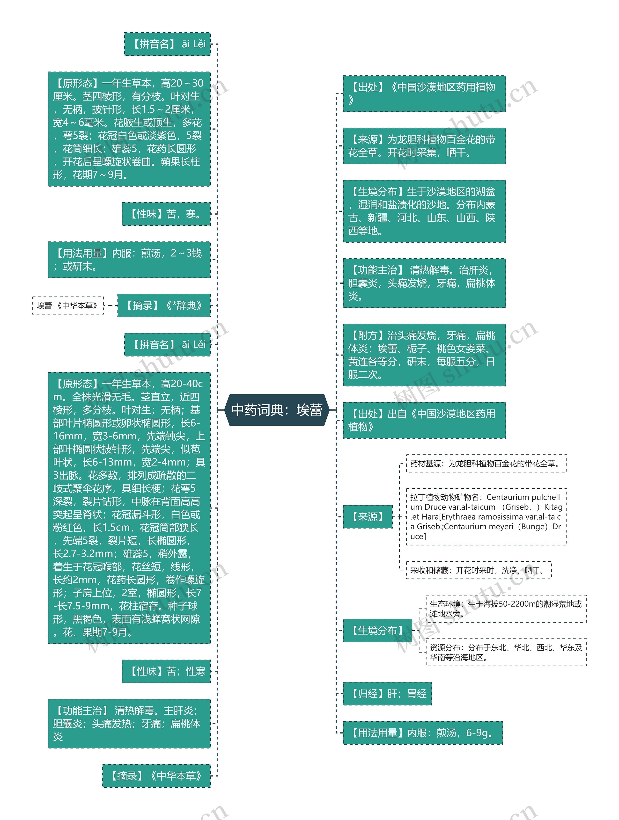 中药词典：埃蕾思维导图