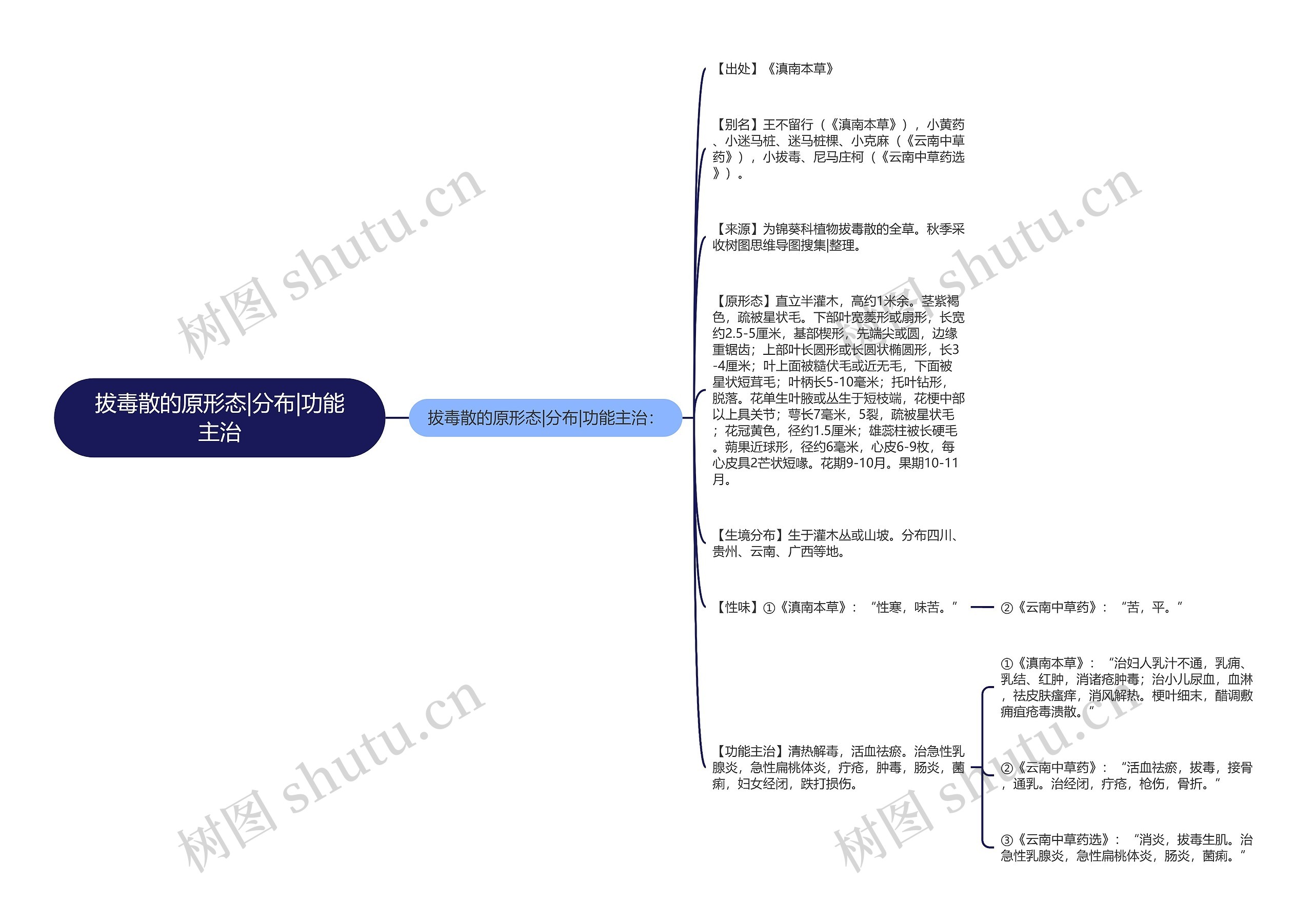 拔毒散的原形态|分布|功能主治思维导图