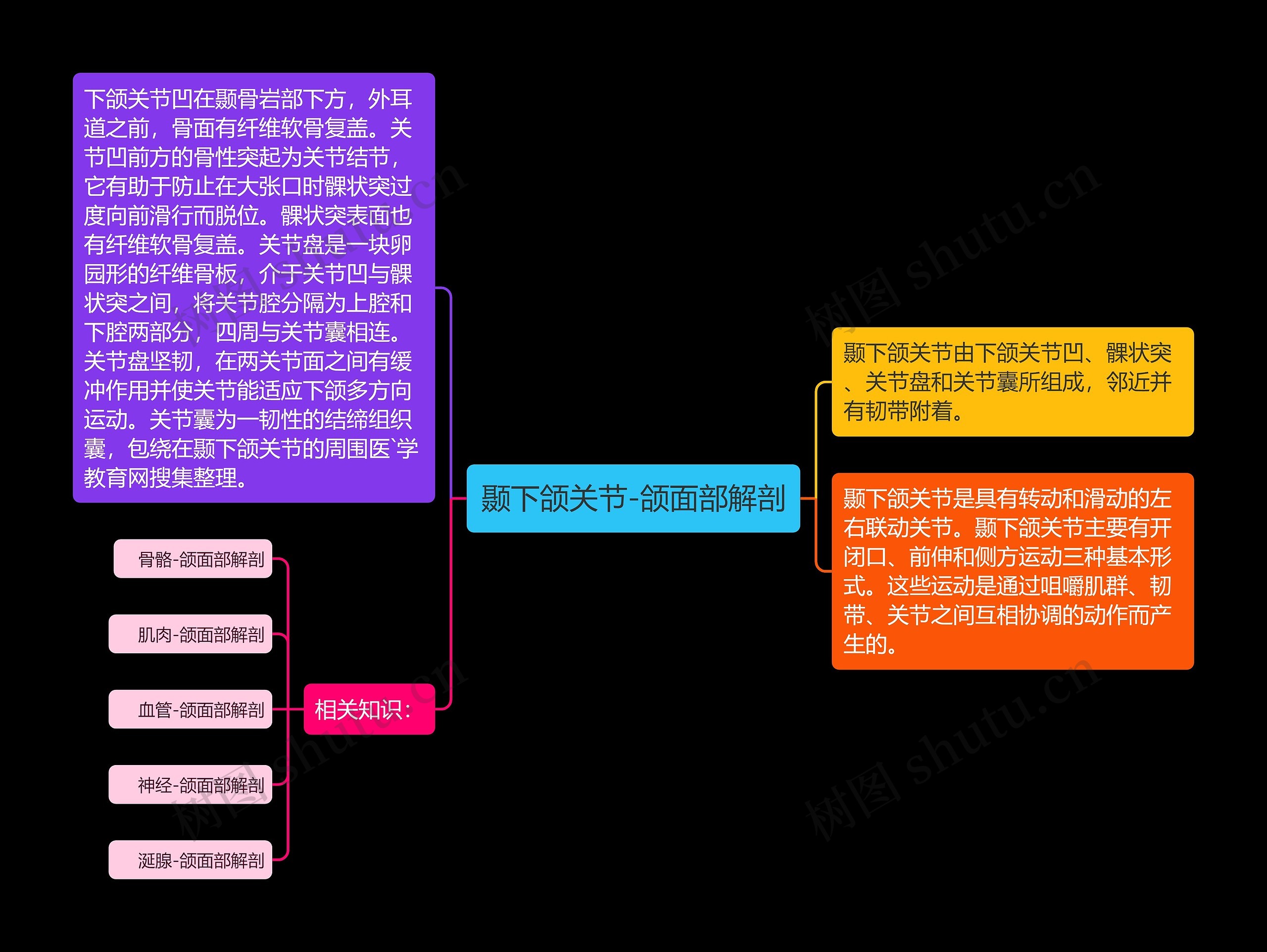 颞下颌关节-颌面部解剖思维导图