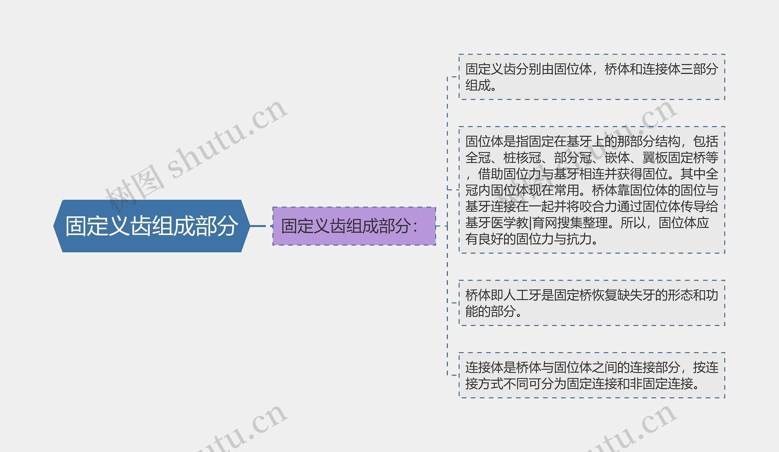 固定义齿组成部分思维导图