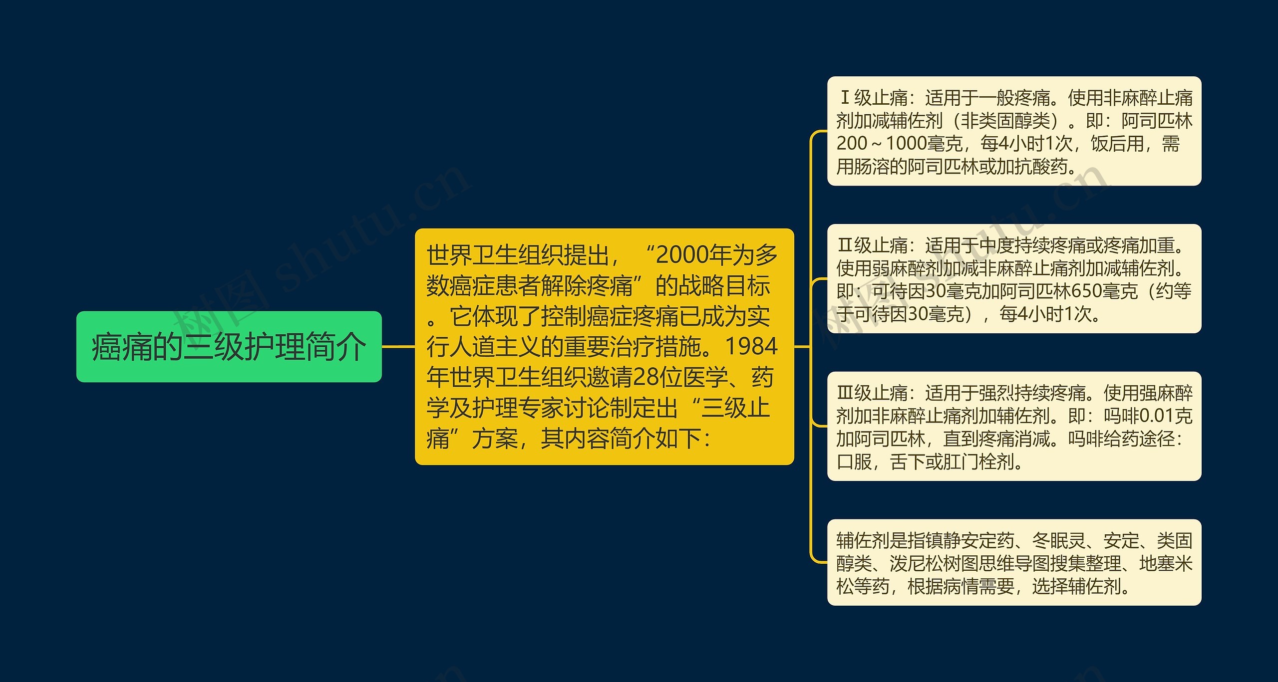 癌痛的三级护理简介思维导图