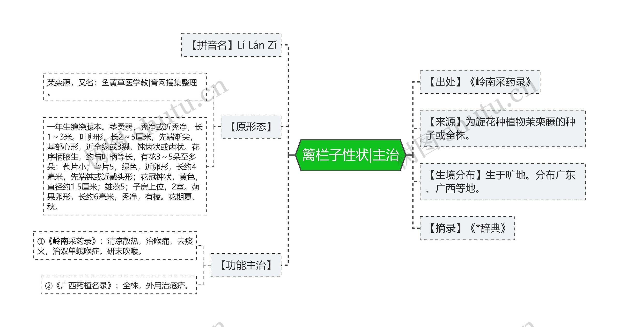 篱栏子性状|主治思维导图