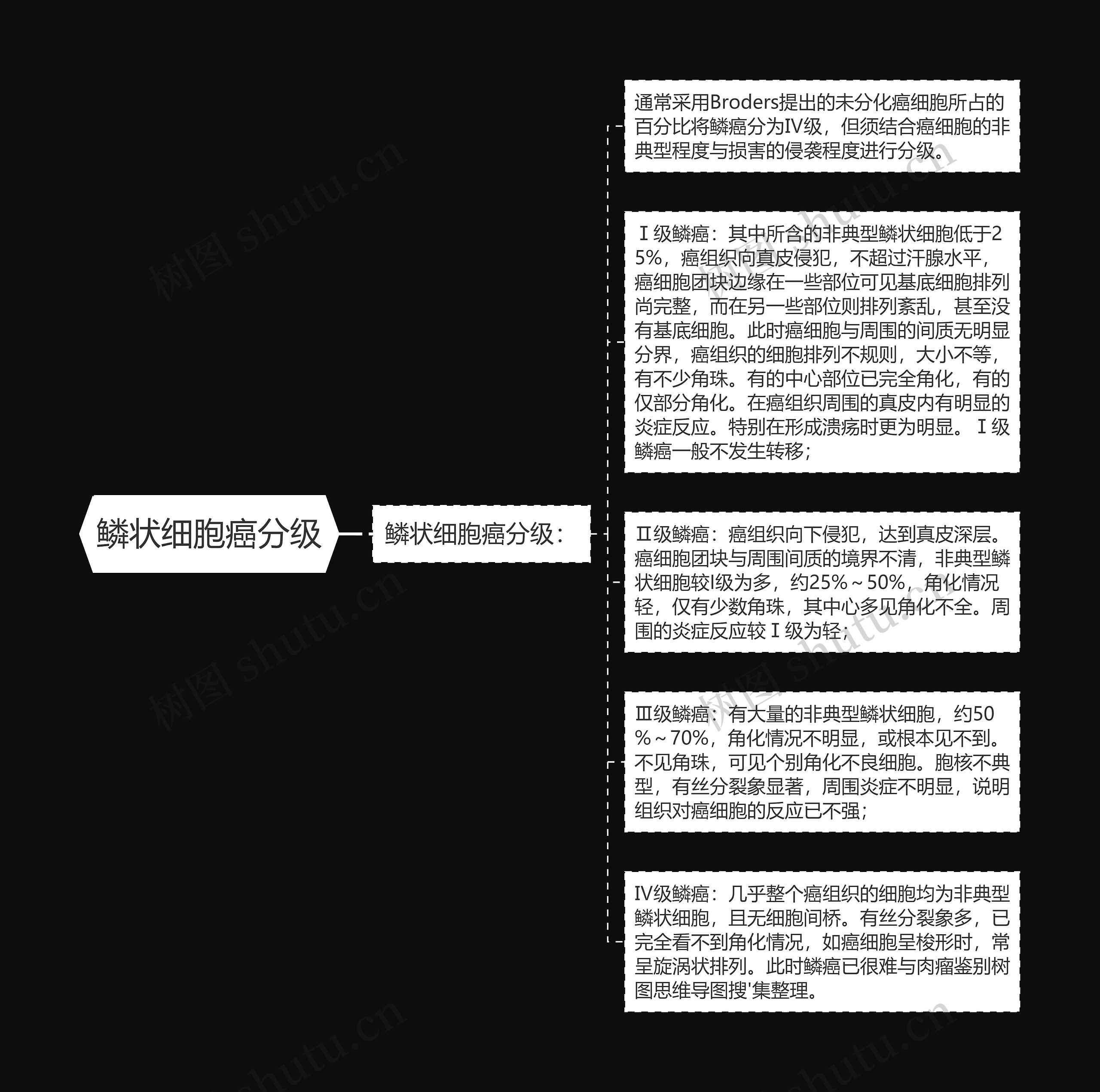 鳞状细胞癌分级 鳞状细胞癌分级