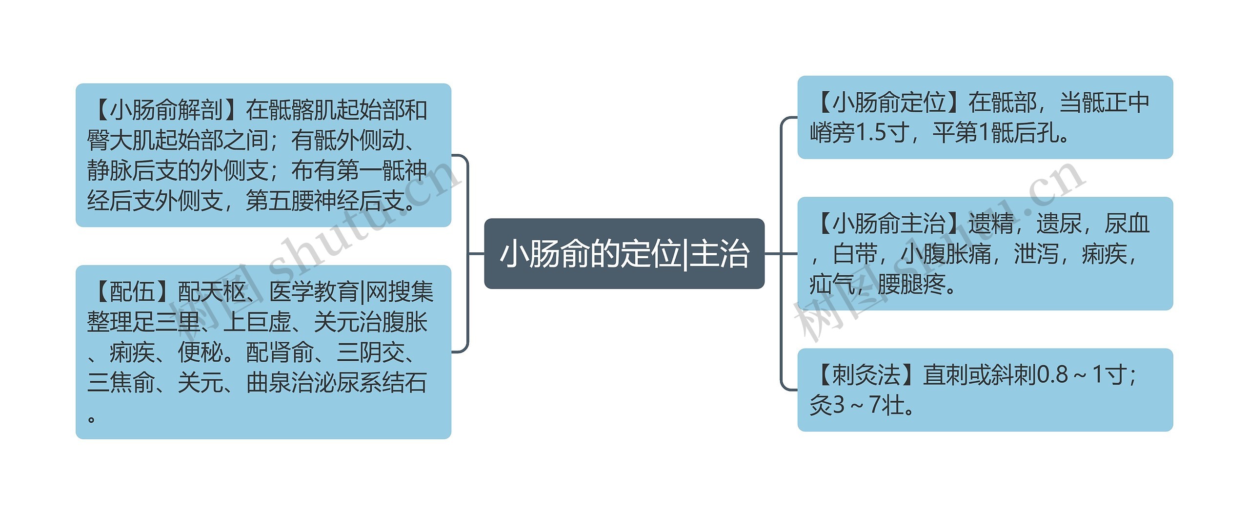 小肠俞的定位|主治