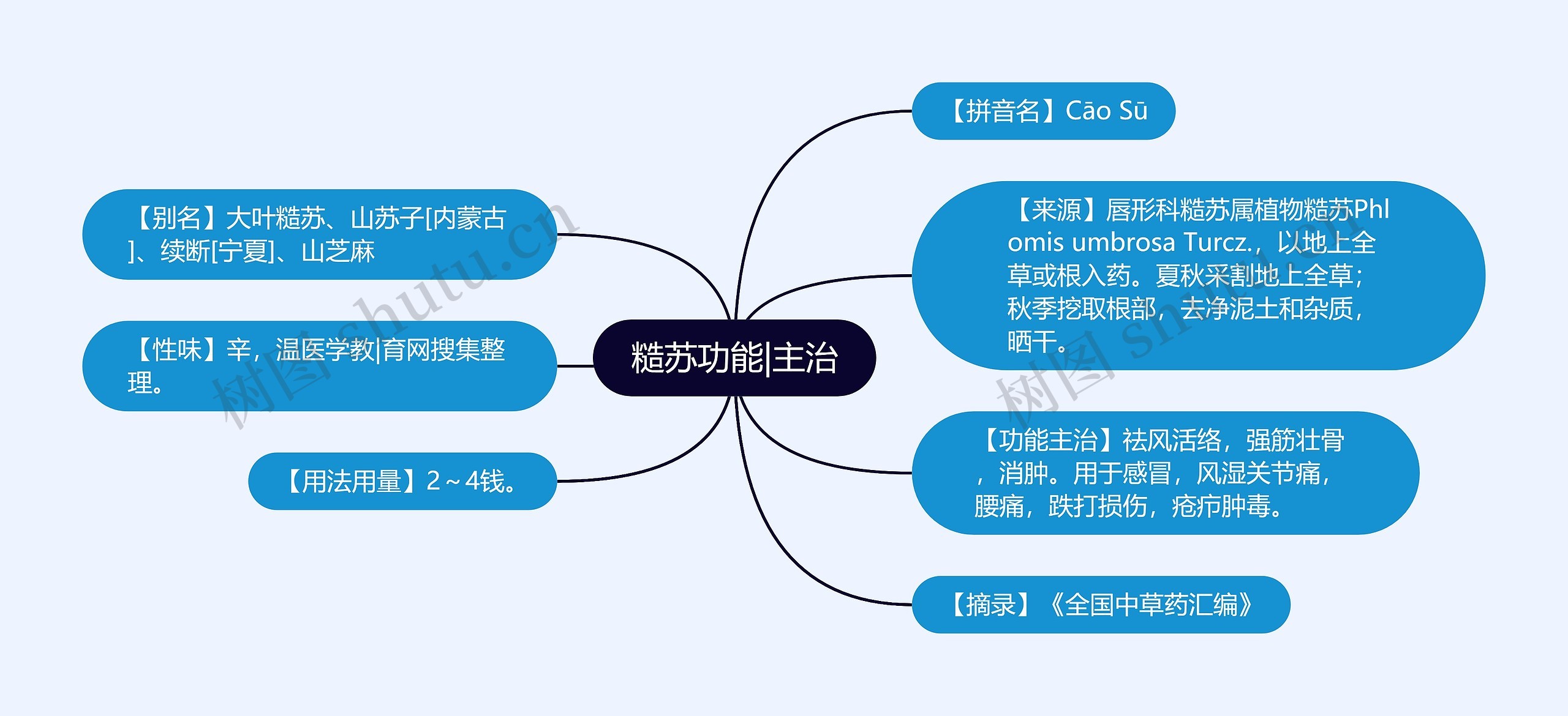 糙苏功能|主治思维导图