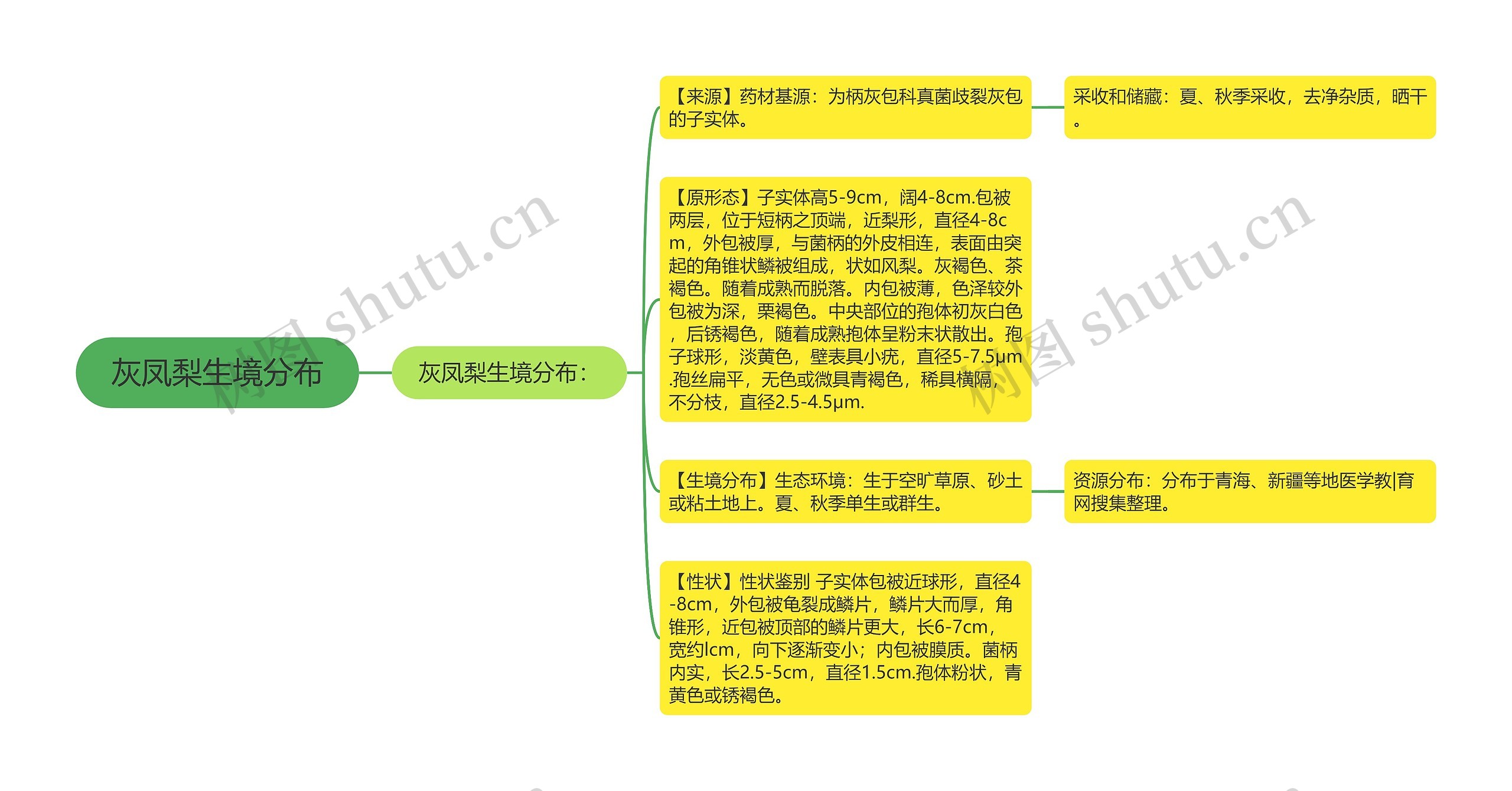 灰凤梨生境分布思维导图