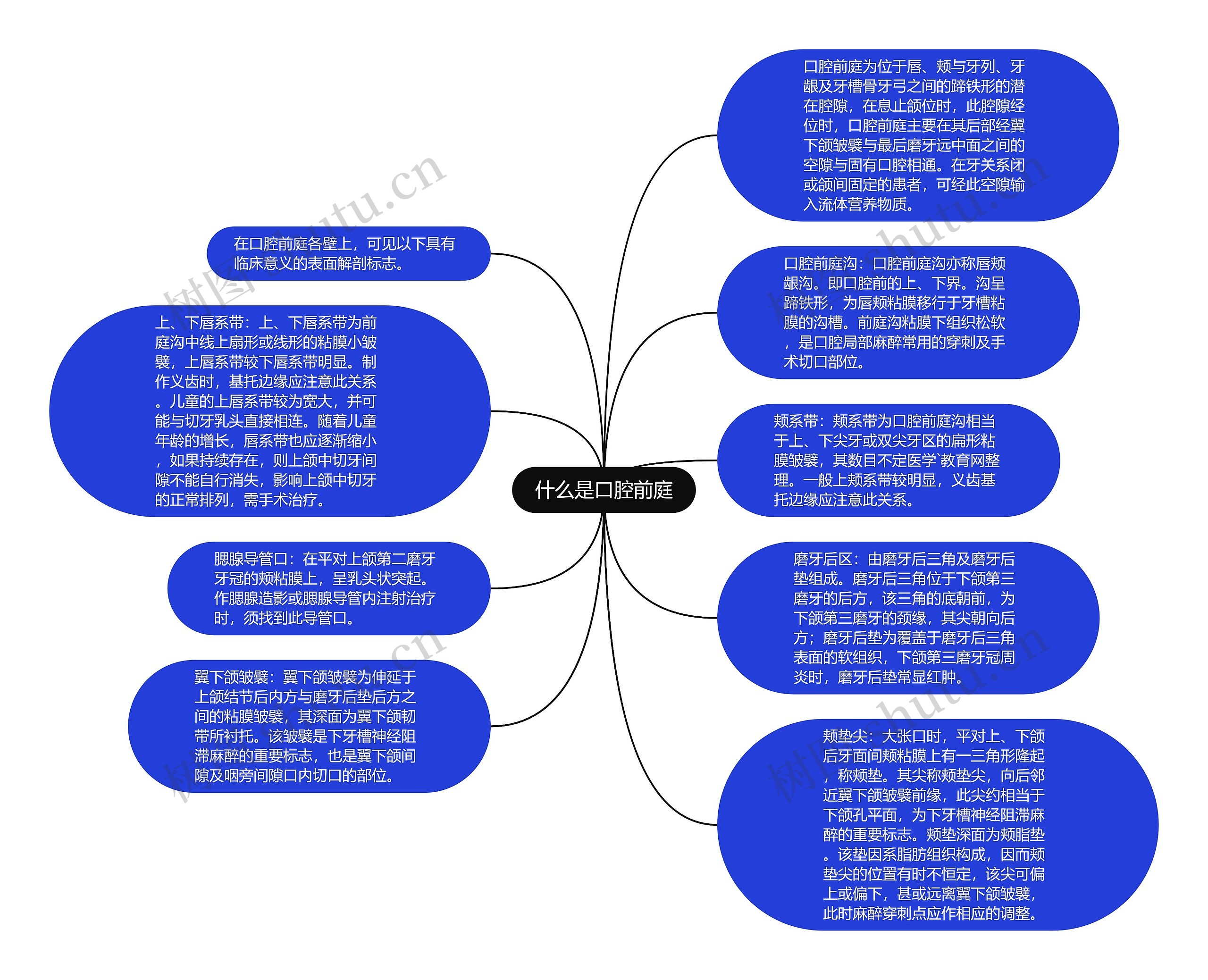 什么是口腔前庭思维导图