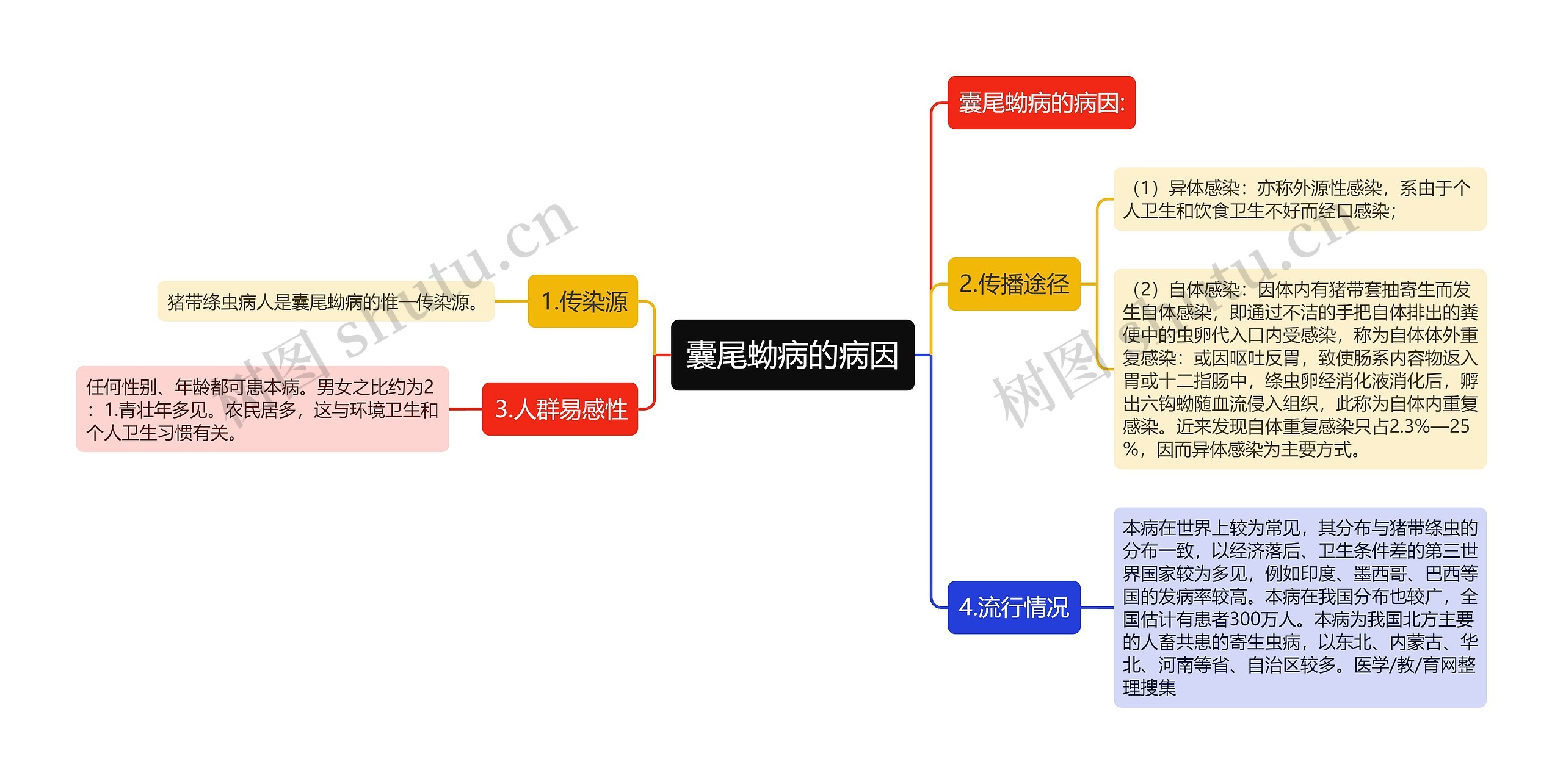 囊尾蚴病的病因思维导图