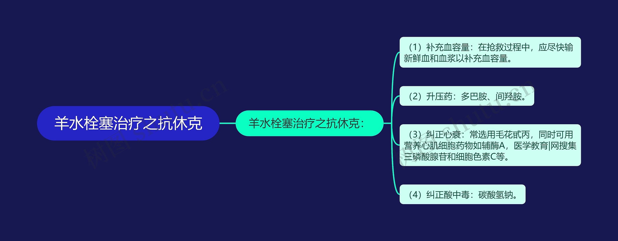 羊水栓塞治疗之抗休克思维导图