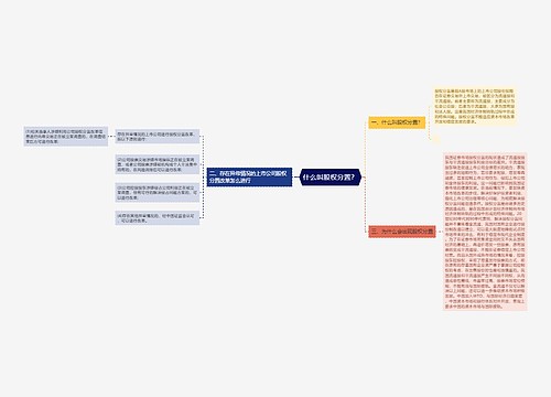 什么叫股权分置？