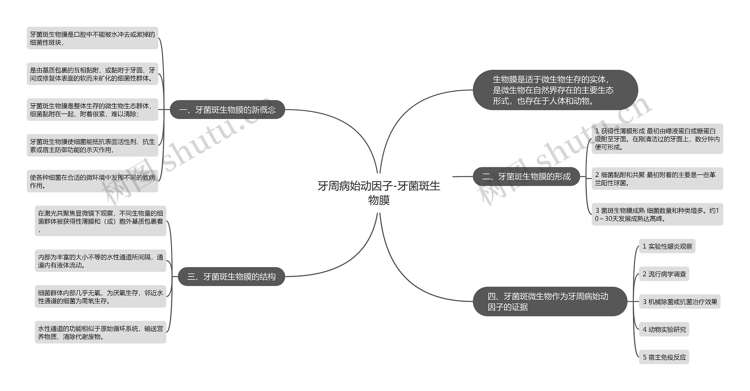 牙周病始动因子-牙菌斑生物膜