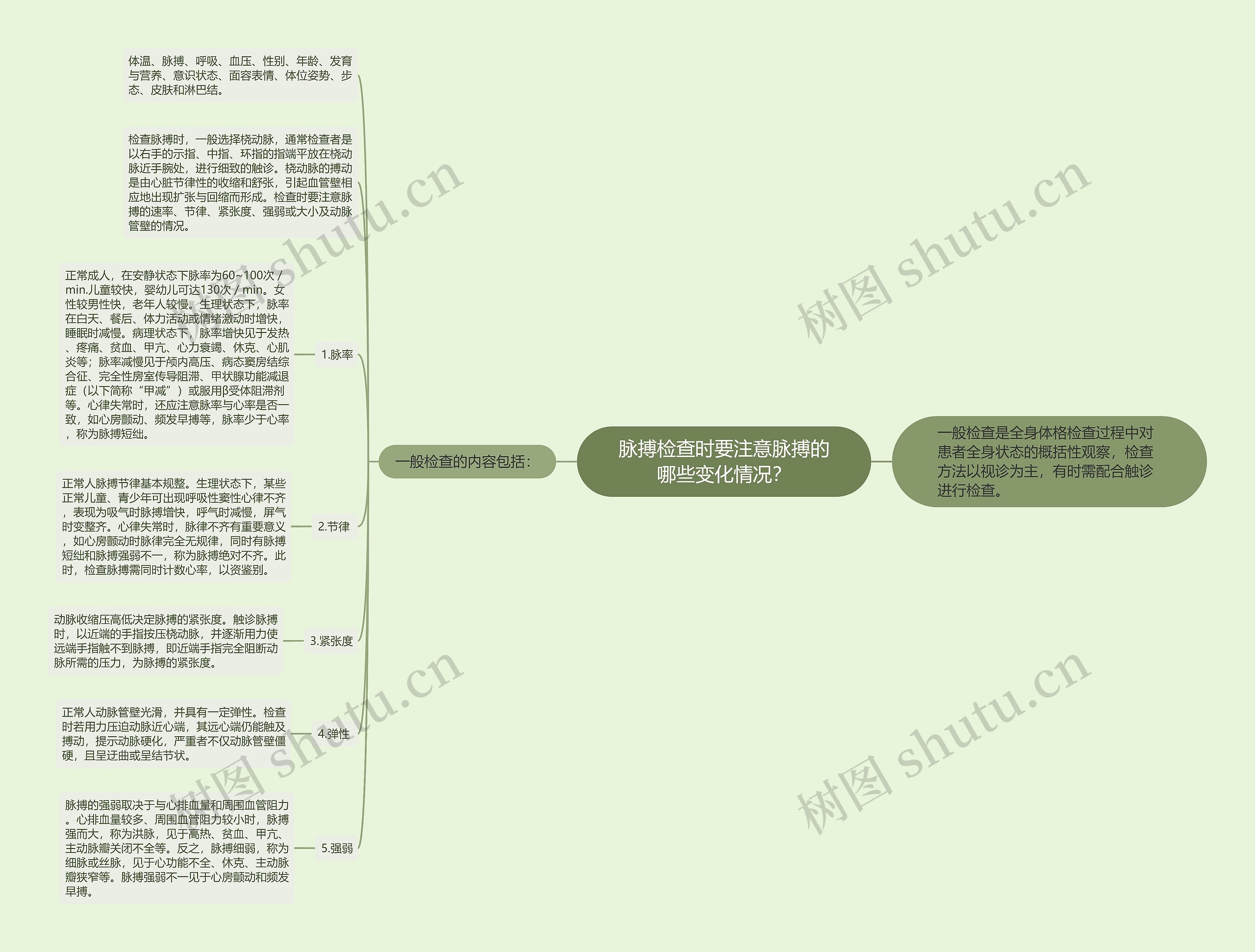 脉搏检查时要注意脉搏的哪些变化情况？