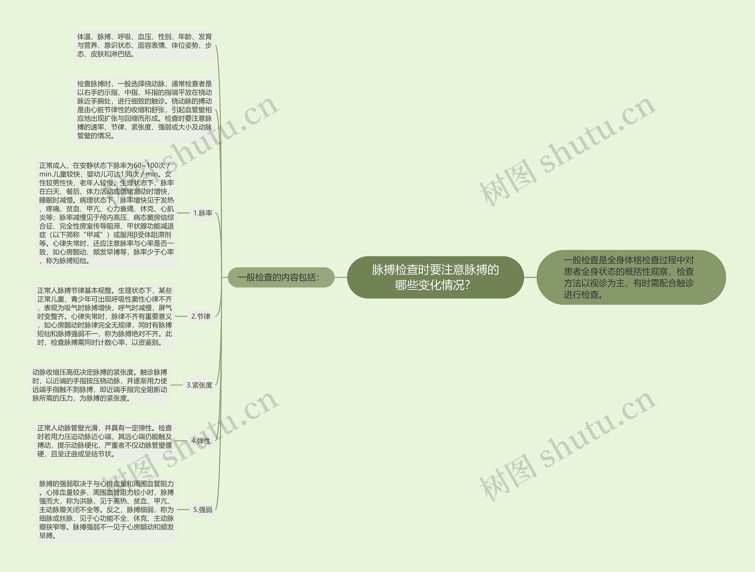 脉搏检查时要注意脉搏的哪些变化情况？思维导图