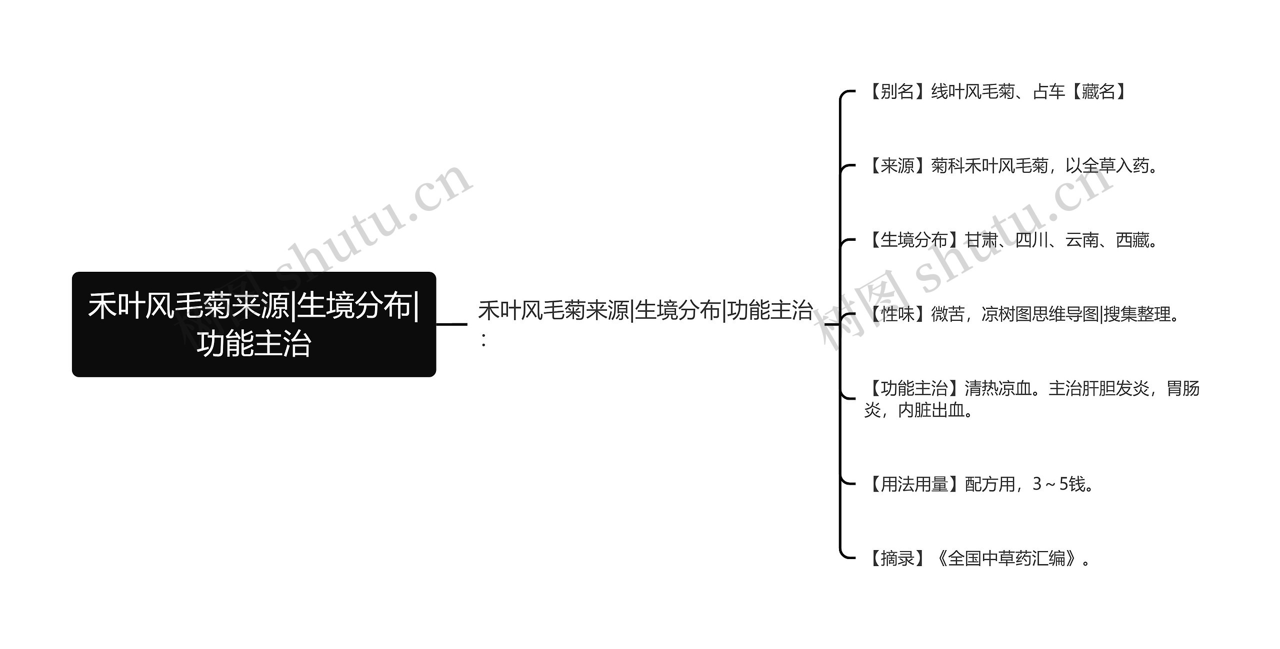 禾叶风毛菊来源|生境分布|功能主治 禾叶风毛菊来源|生境分布|功能主治