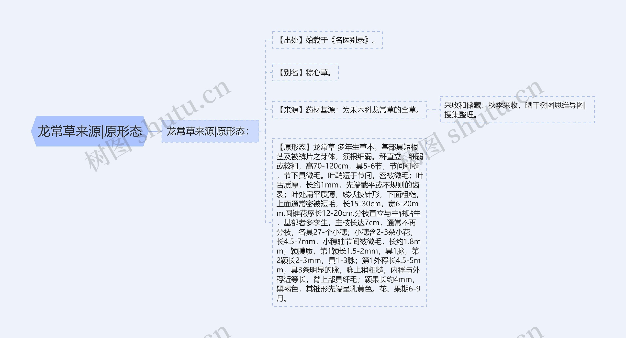 龙常草来源|原形态 龙常草来源|原形态