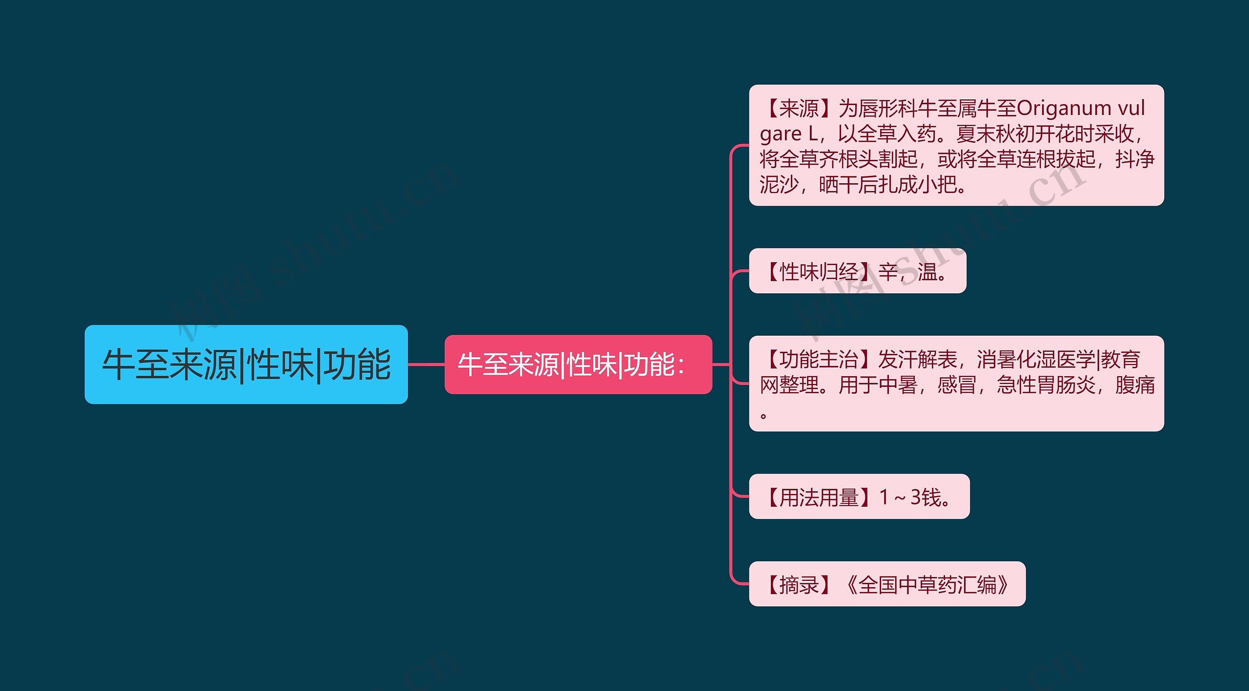 牛至来源|性味|功能思维导图