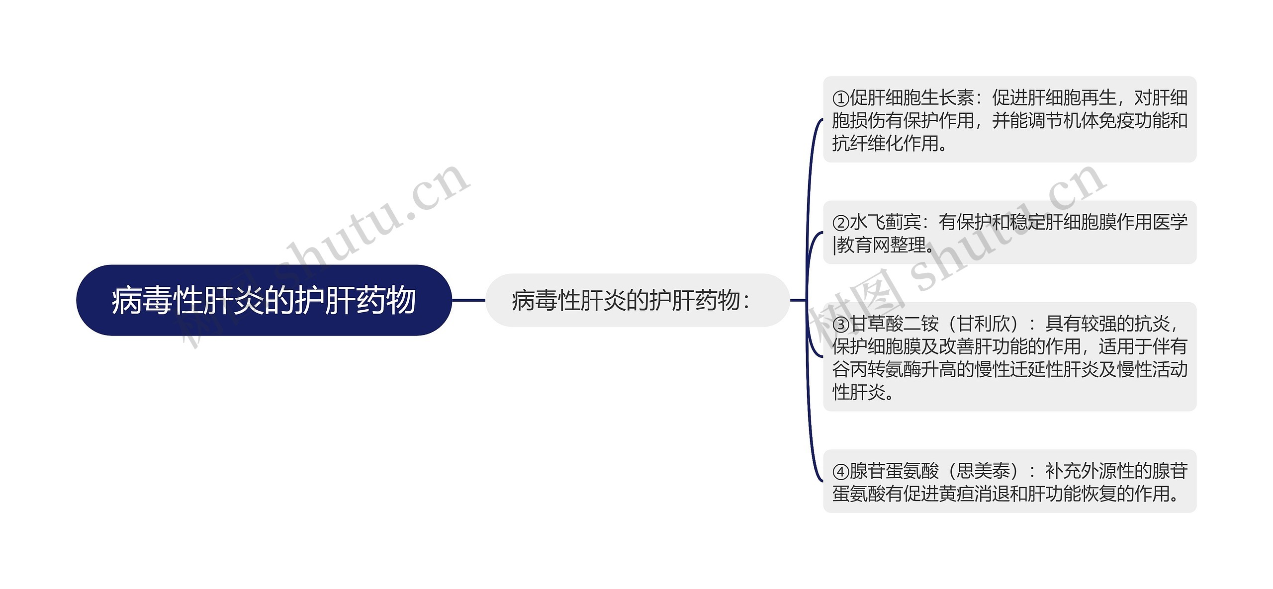 病毒性肝炎的护肝药物