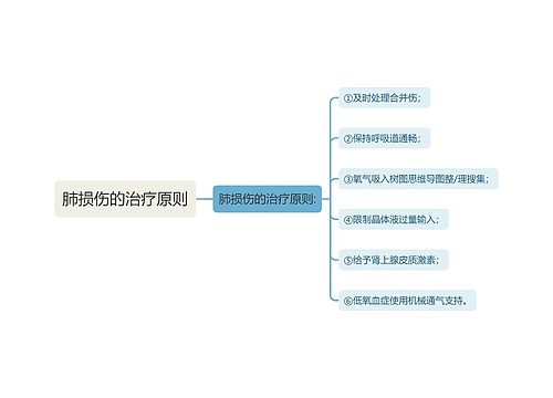 肺损伤的治疗原则