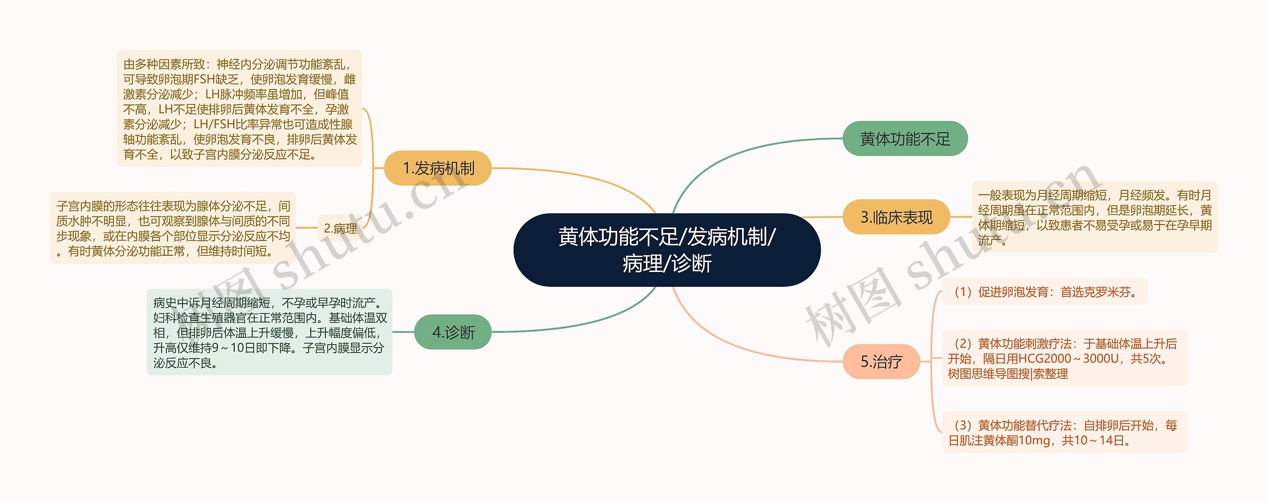 黄体功能不足/发病机制/病理/诊断思维导图