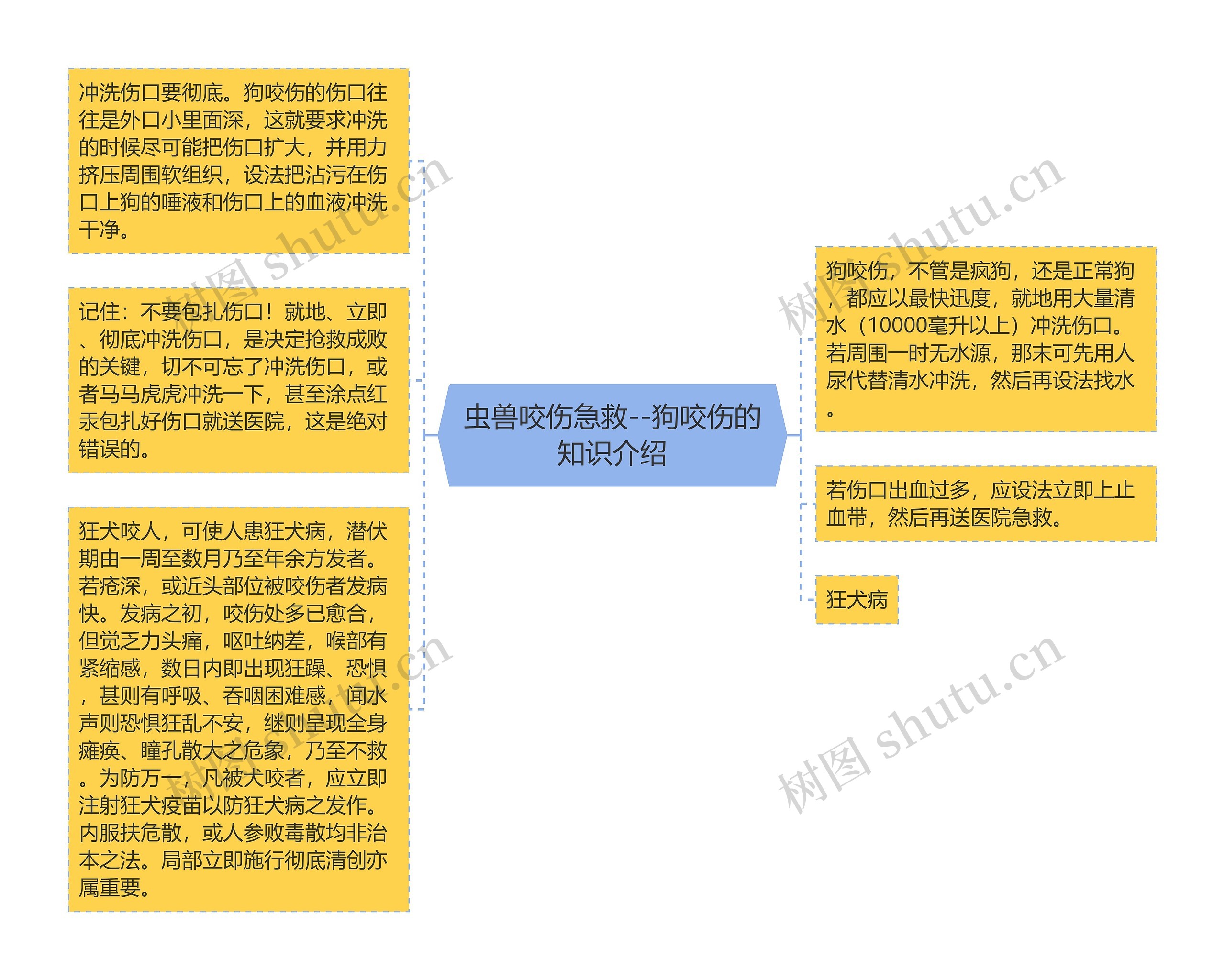 虫兽咬伤急救--狗咬伤的知识介绍思维导图