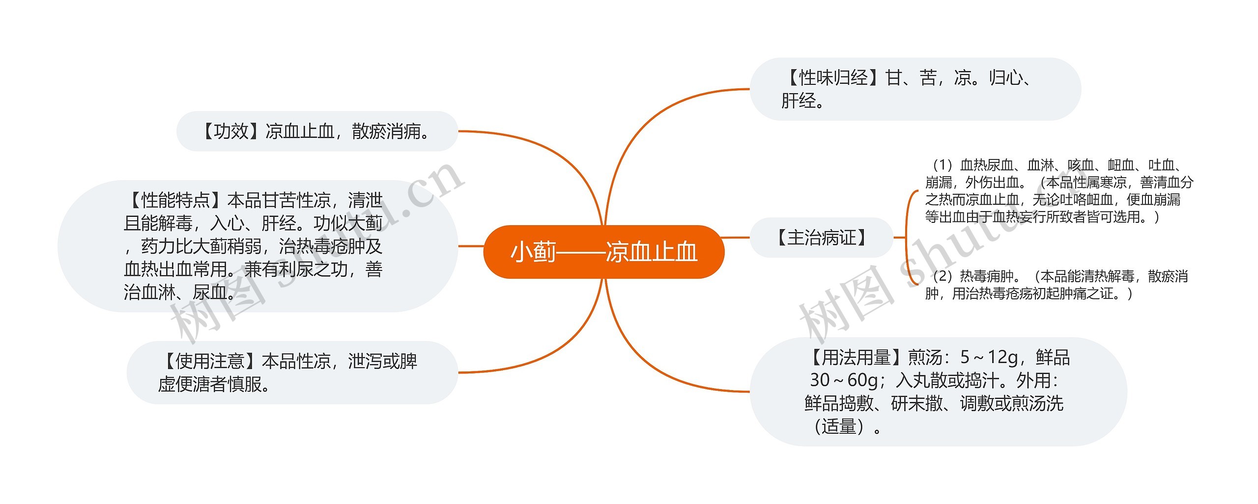 小蓟——凉血止血思维导图