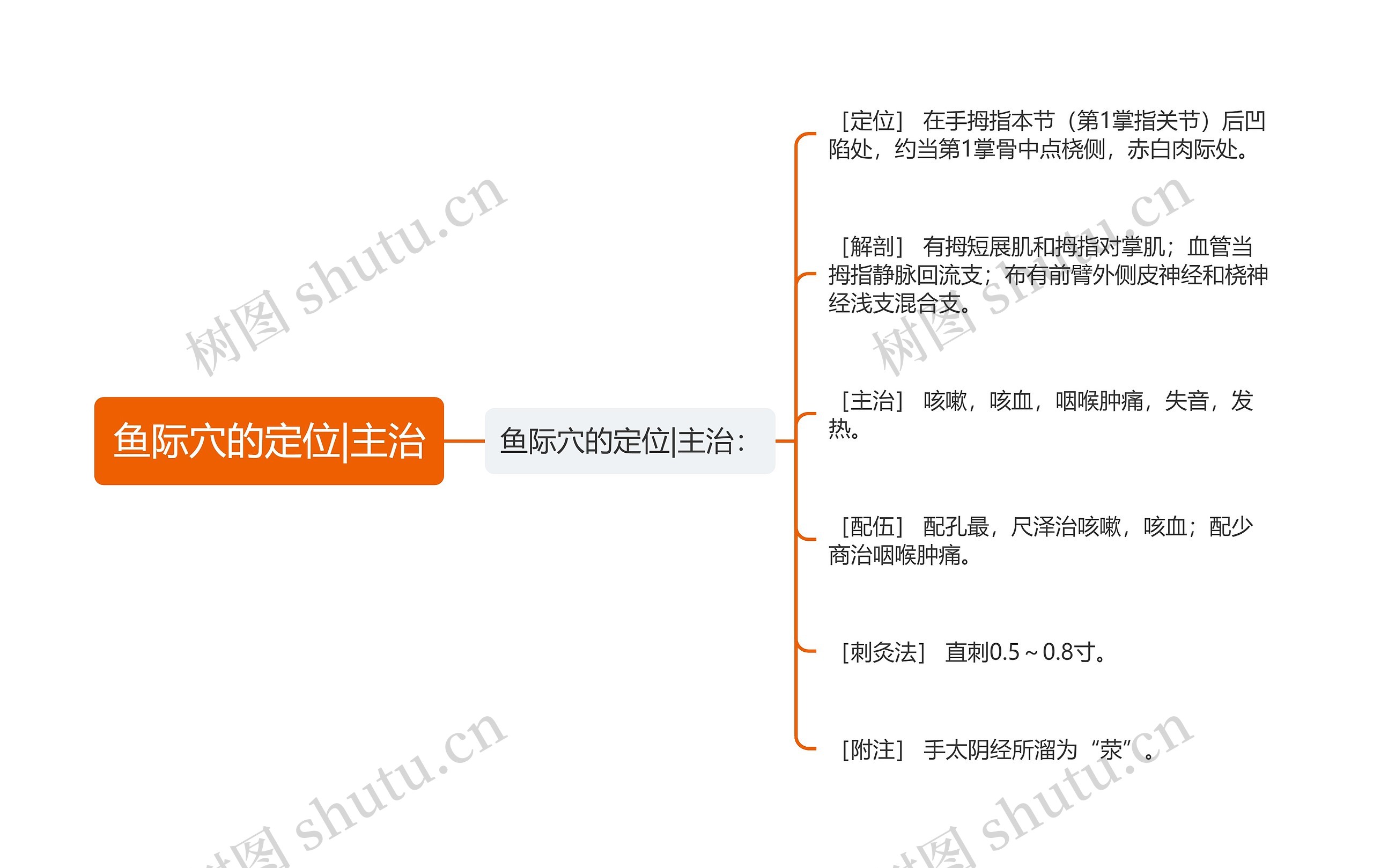 鱼际穴的定位|主治